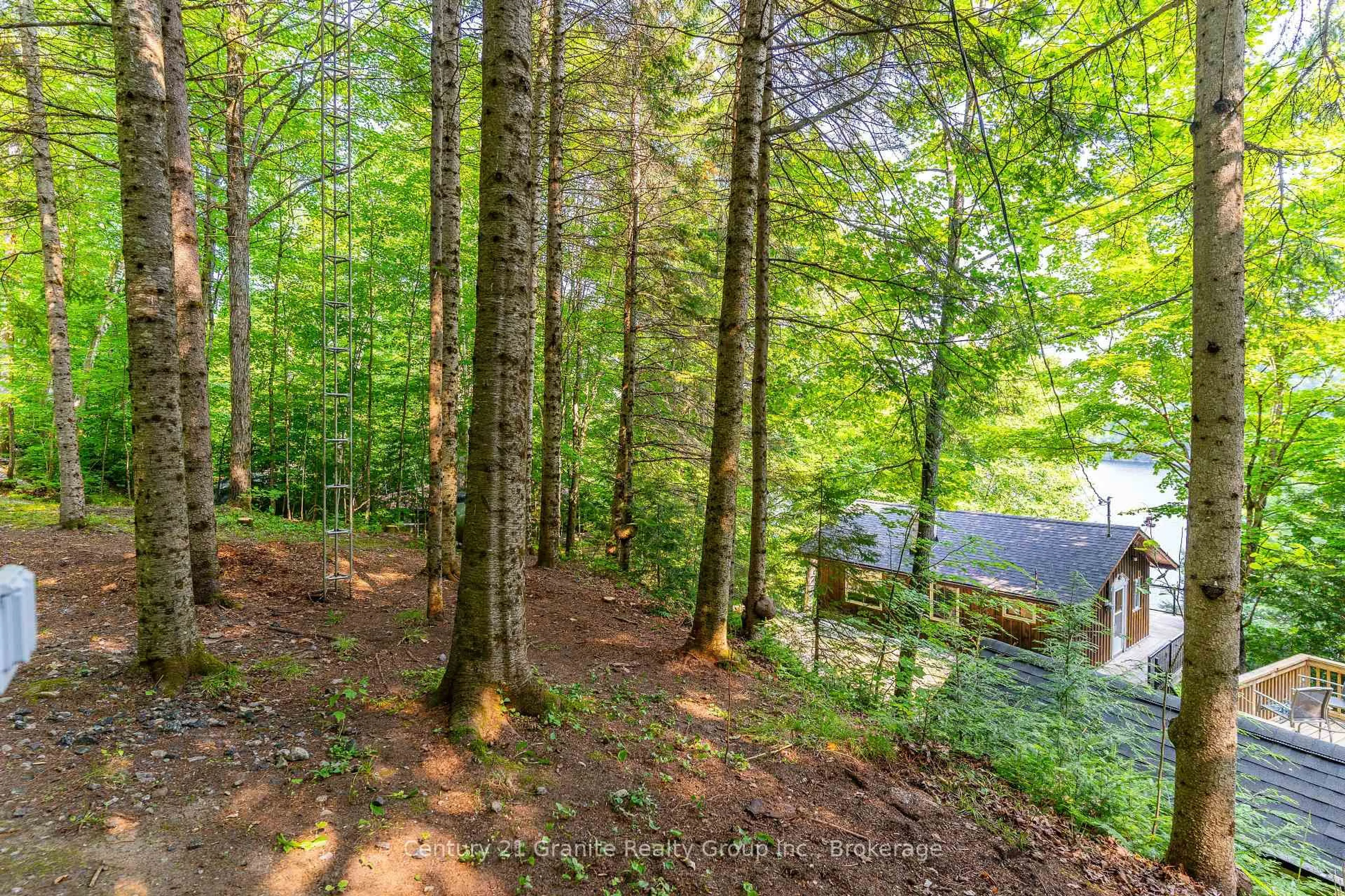 A pic from outside/outdoor area/front of a property/back of a property/a pic from drone, forest/trees view for 1225 Rowbotham Lane, Highlands East Ontario K0L 2Y0