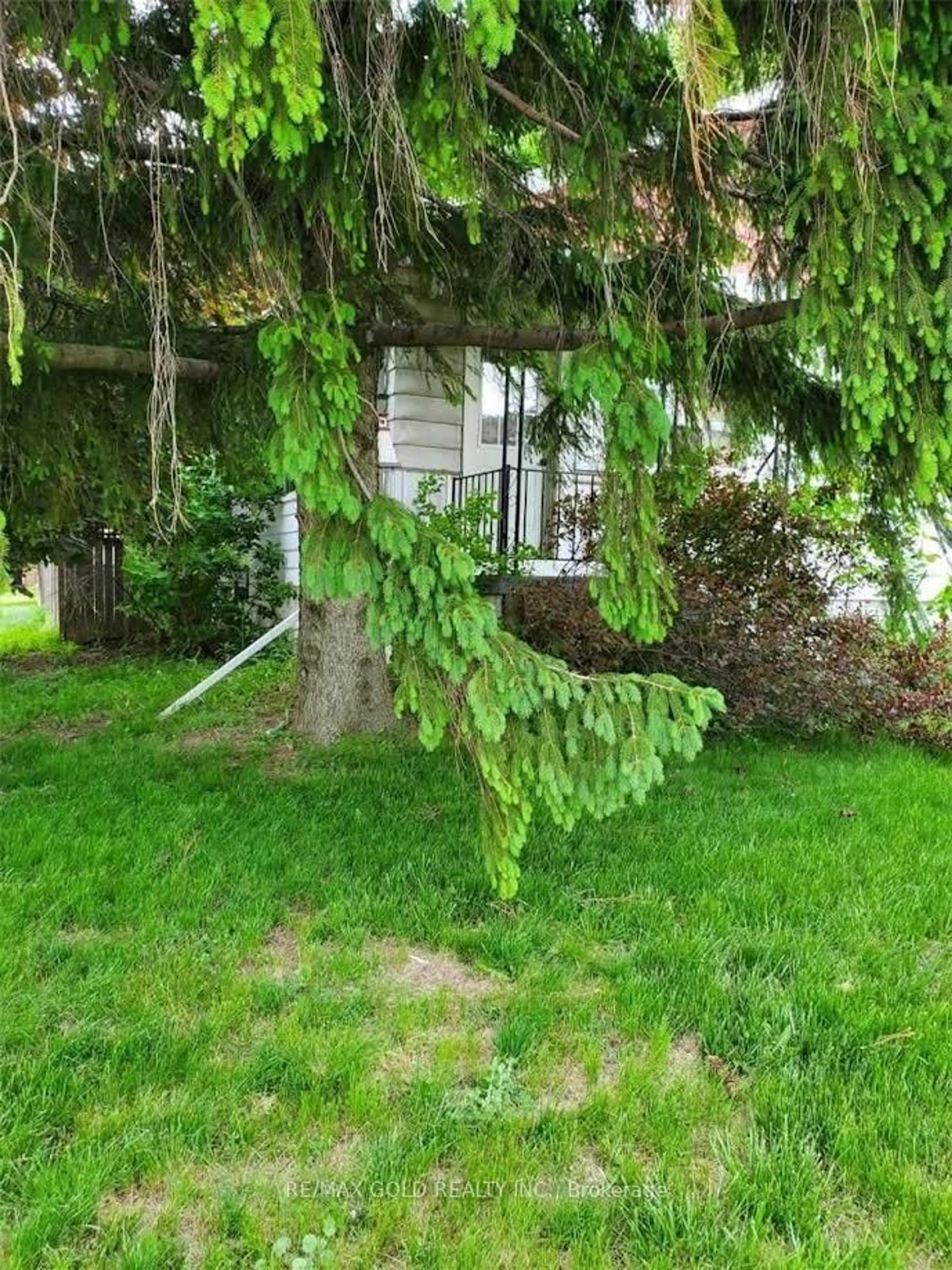 Patio, street for 314 West 2nd St, Hamilton Ontario L9C 3H2