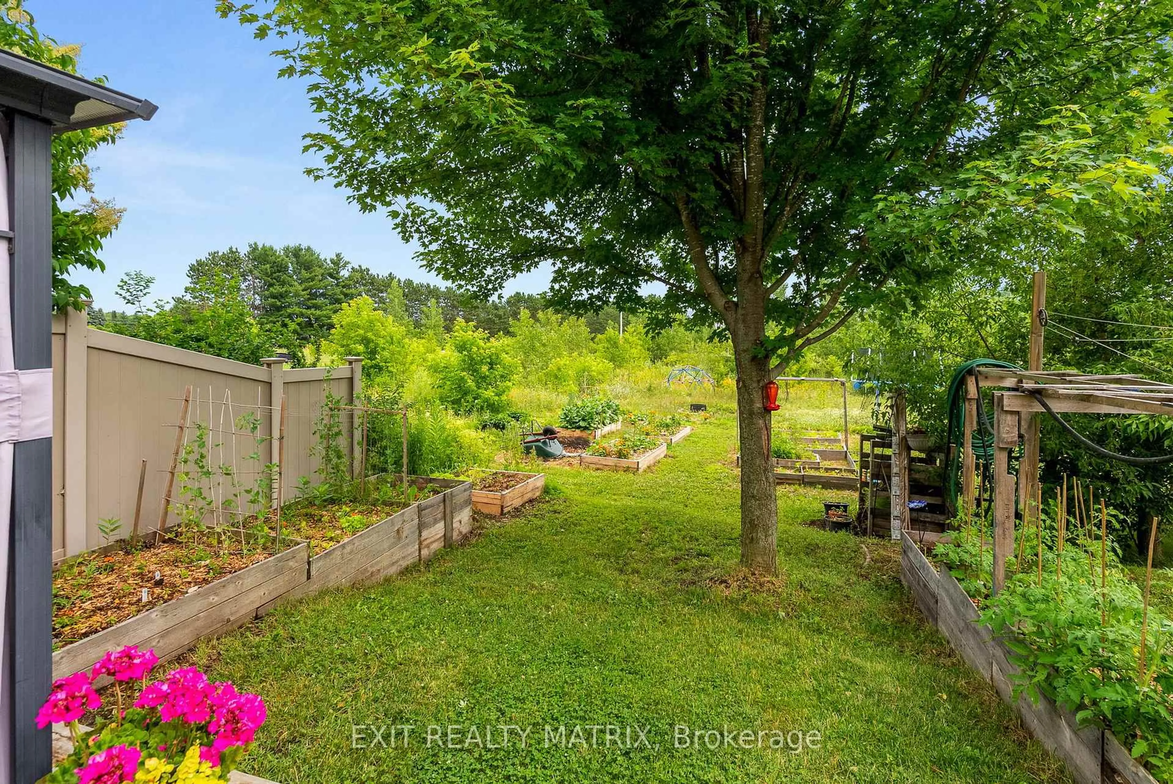 A pic from outside/outdoor area/front of a property/back of a property/a pic from drone, forest/trees view for 6770 Breanna Cardill St, Greely Ontario K4P 0C3