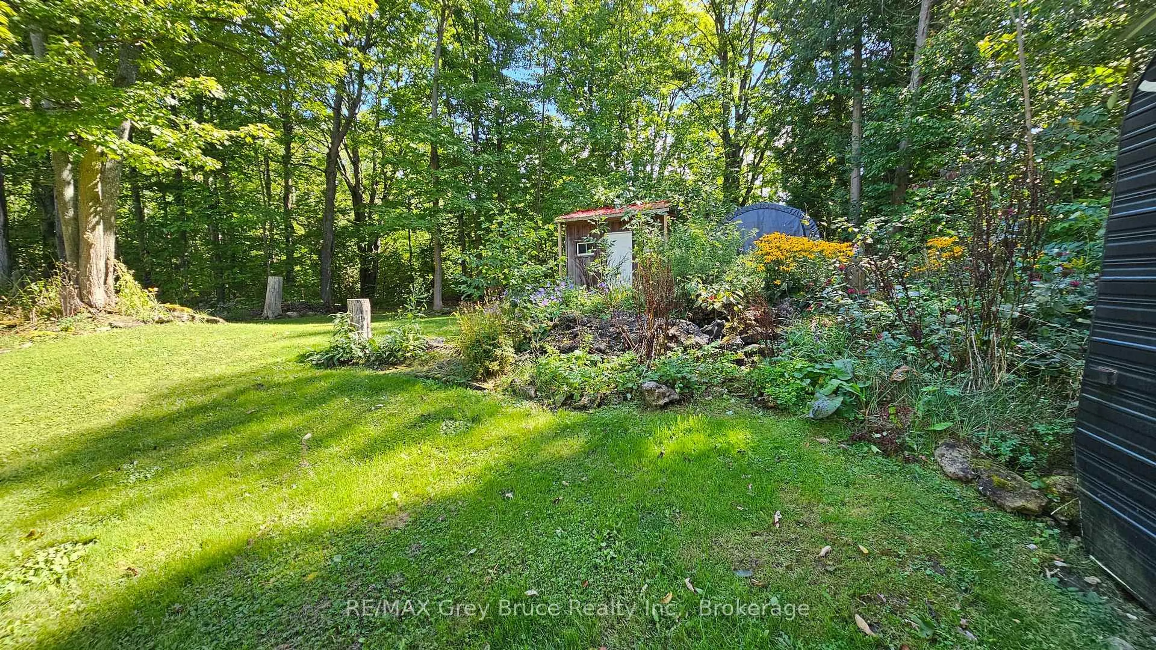 A pic from outside/outdoor area/front of a property/back of a property/a pic from drone, forest/trees view for 549 Stokes Bay Rd, Northern Bruce Peninsula Ontario N0H 1W0