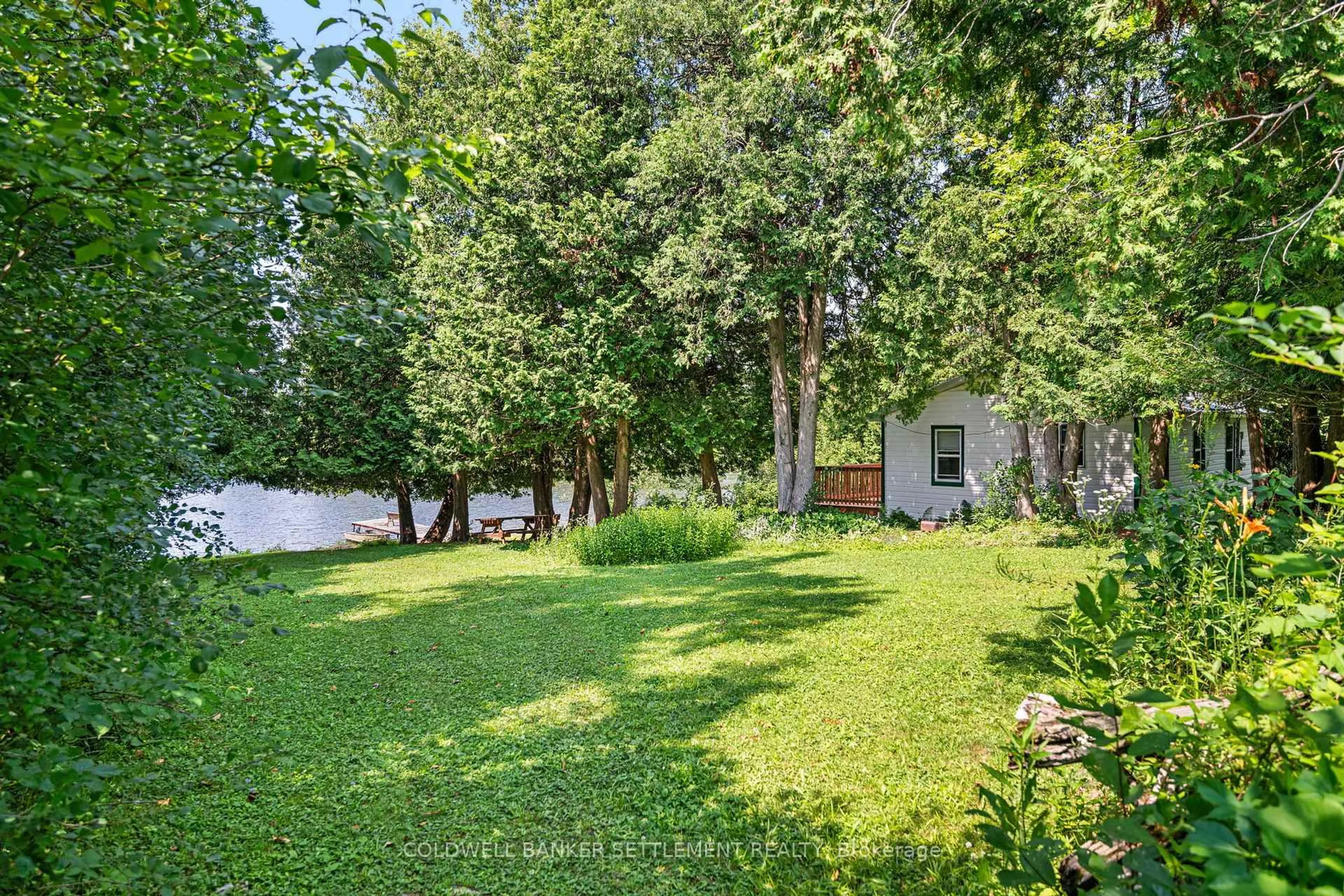 A pic from outside/outdoor area/front of a property/back of a property/a pic from drone, forest/trees view for 236 Hall's Lane, Perth Ontario K7H 3C9