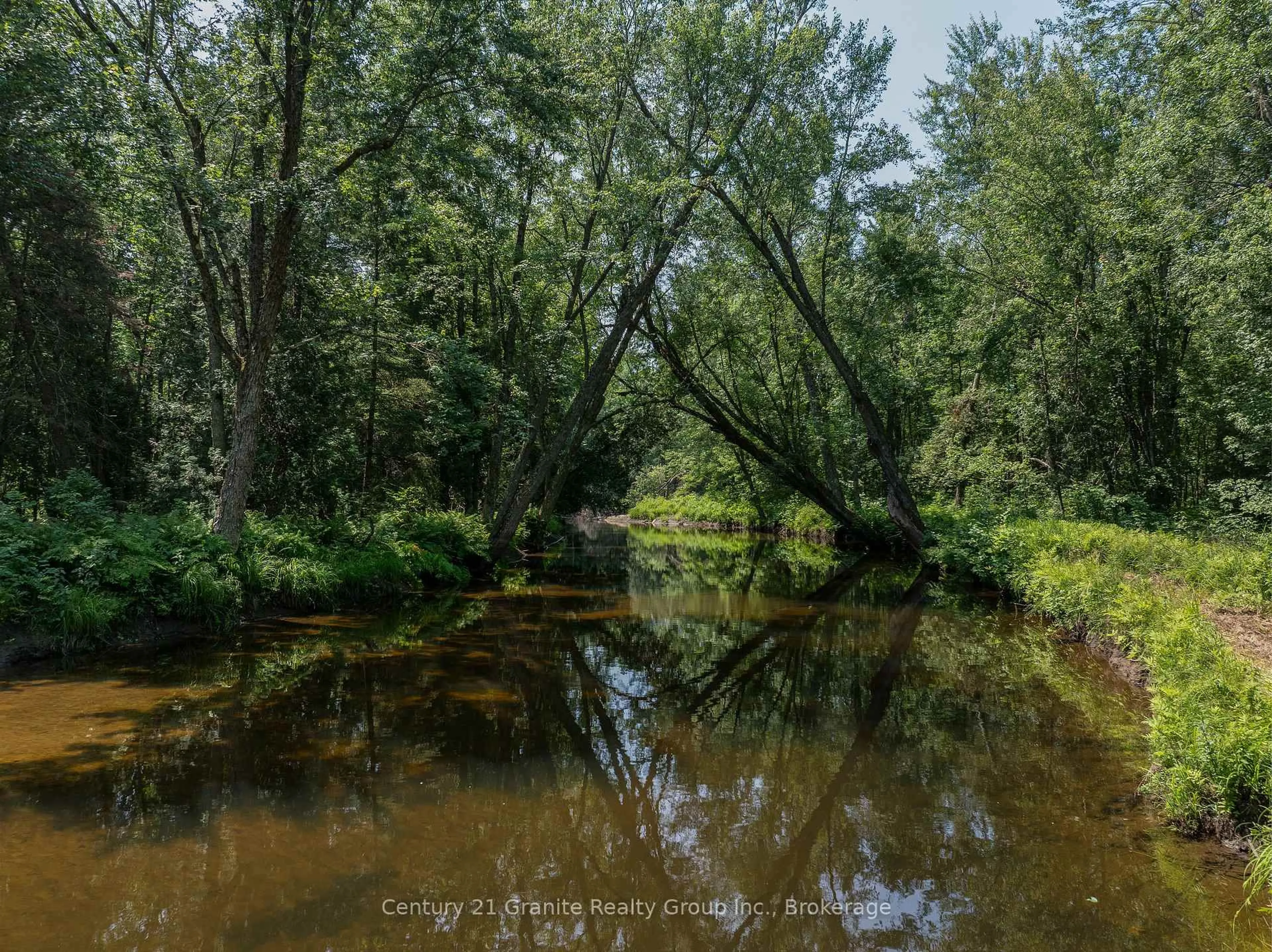 Blurry image for 329 Rose Island Rd, North Kawartha Ontario K0L 1A0
