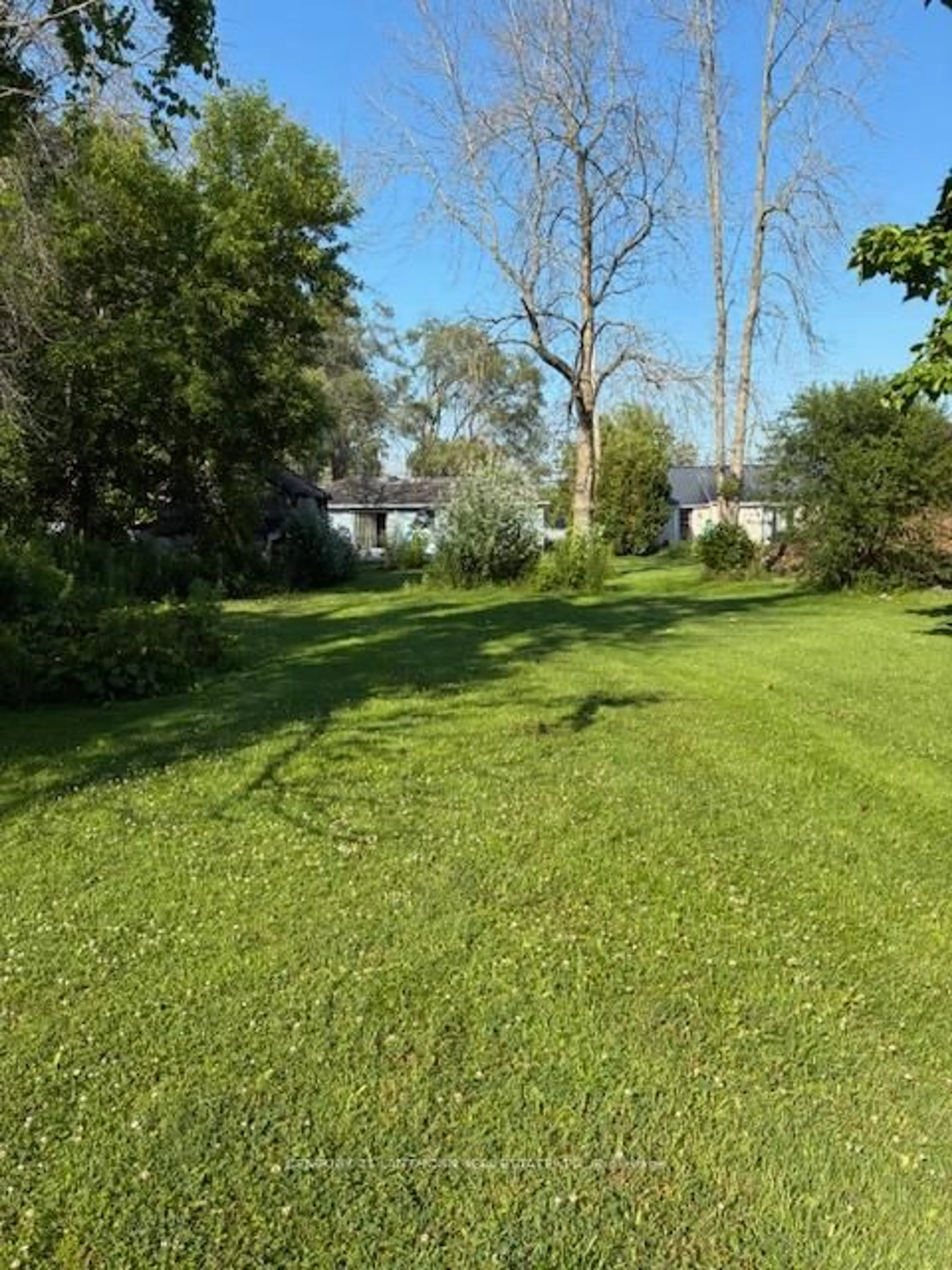 A pic from outside/outdoor area/front of a property/back of a property/a pic from drone, forest/trees view for 741 County Road 28 Rd, Prince Edward County Ontario K8N 4Z7