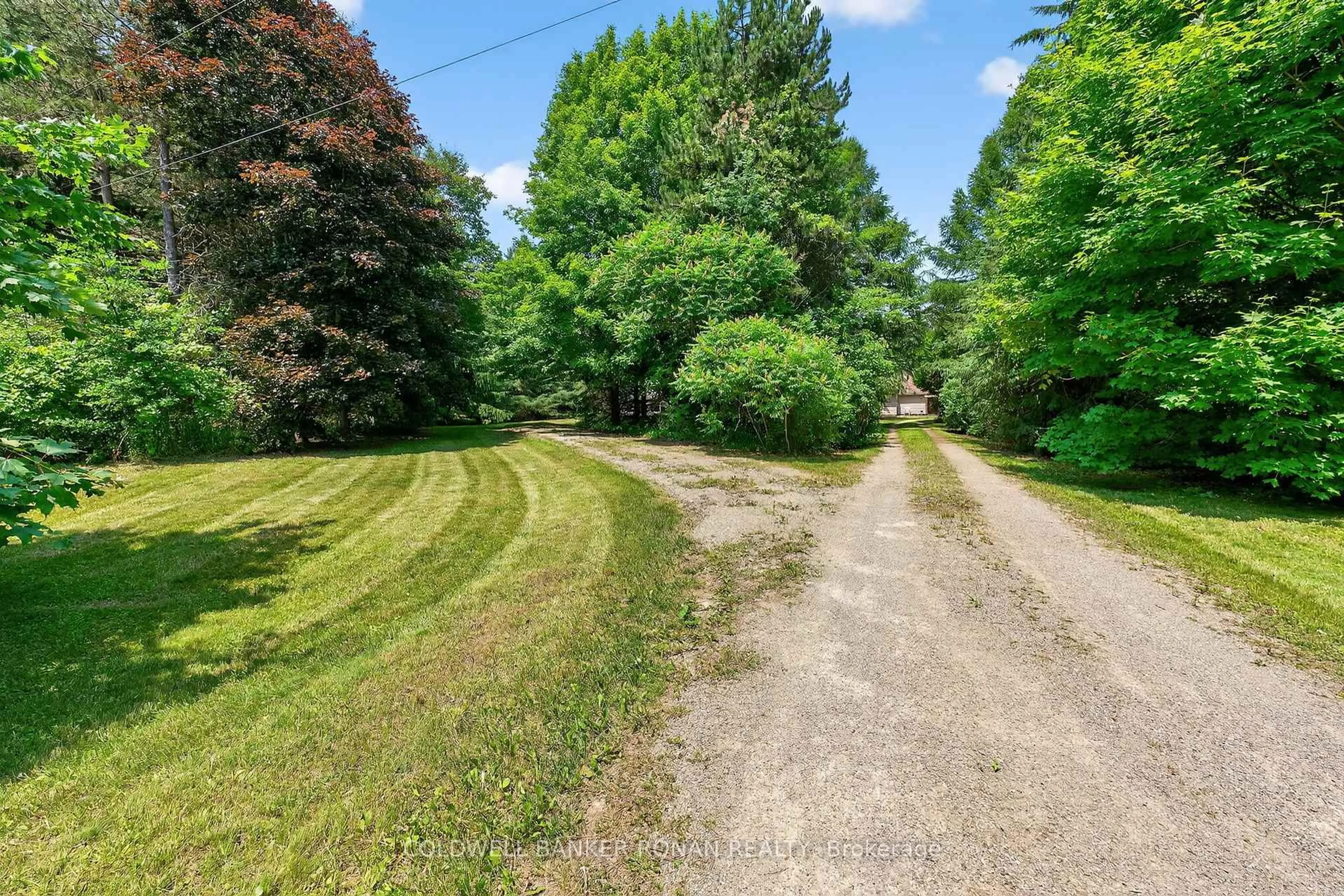 A pic from outside/outdoor area/front of a property/back of a property/a pic from drone, forest/trees view for 388055 Mono Center Rd, Mono Ontario L9W 6V8