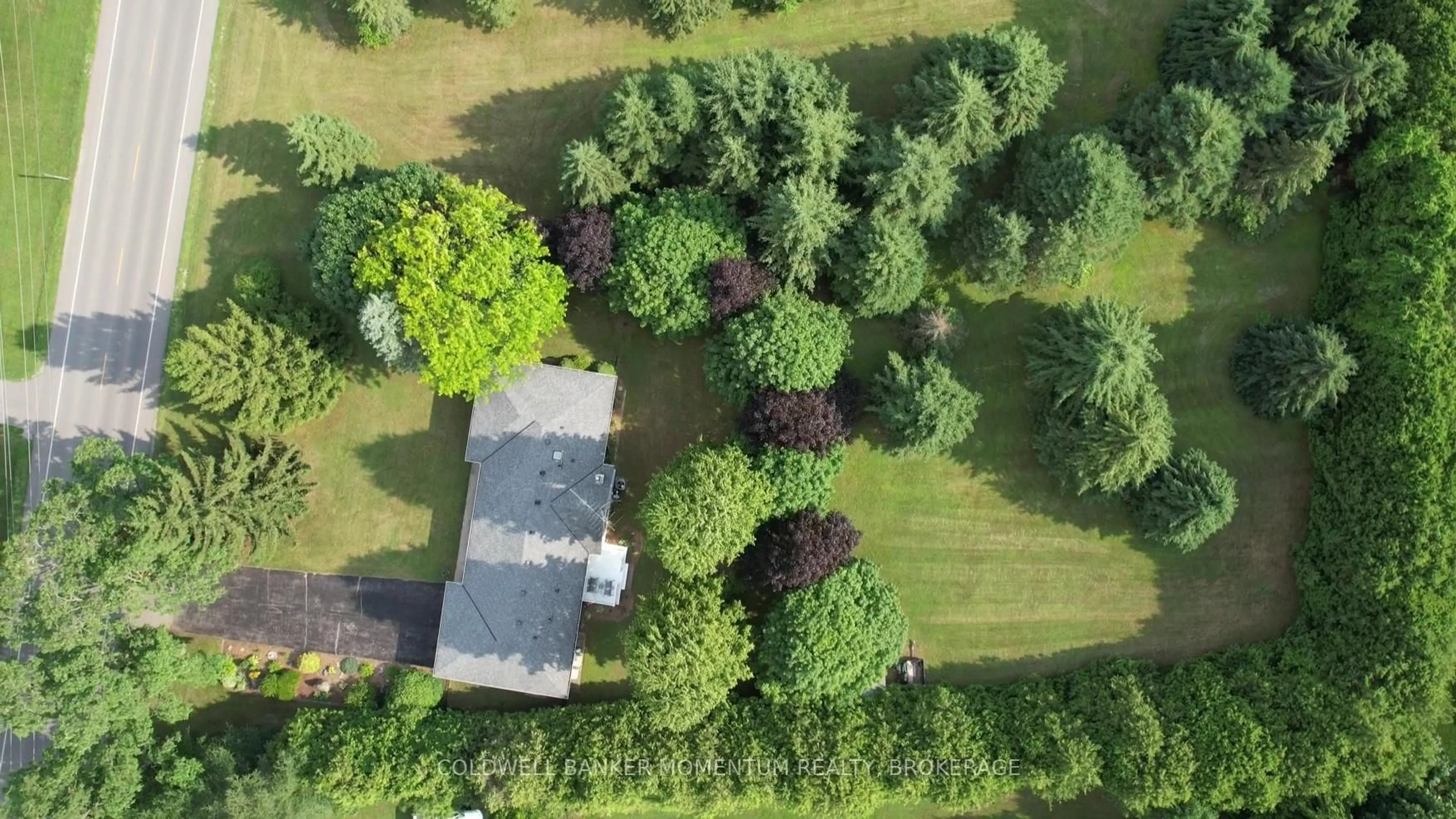 A pic from outside/outdoor area/front of a property/back of a property/a pic from drone, forest/trees view for 653 Old 24 Highway, Norfolk Ontario N0E 1Y0