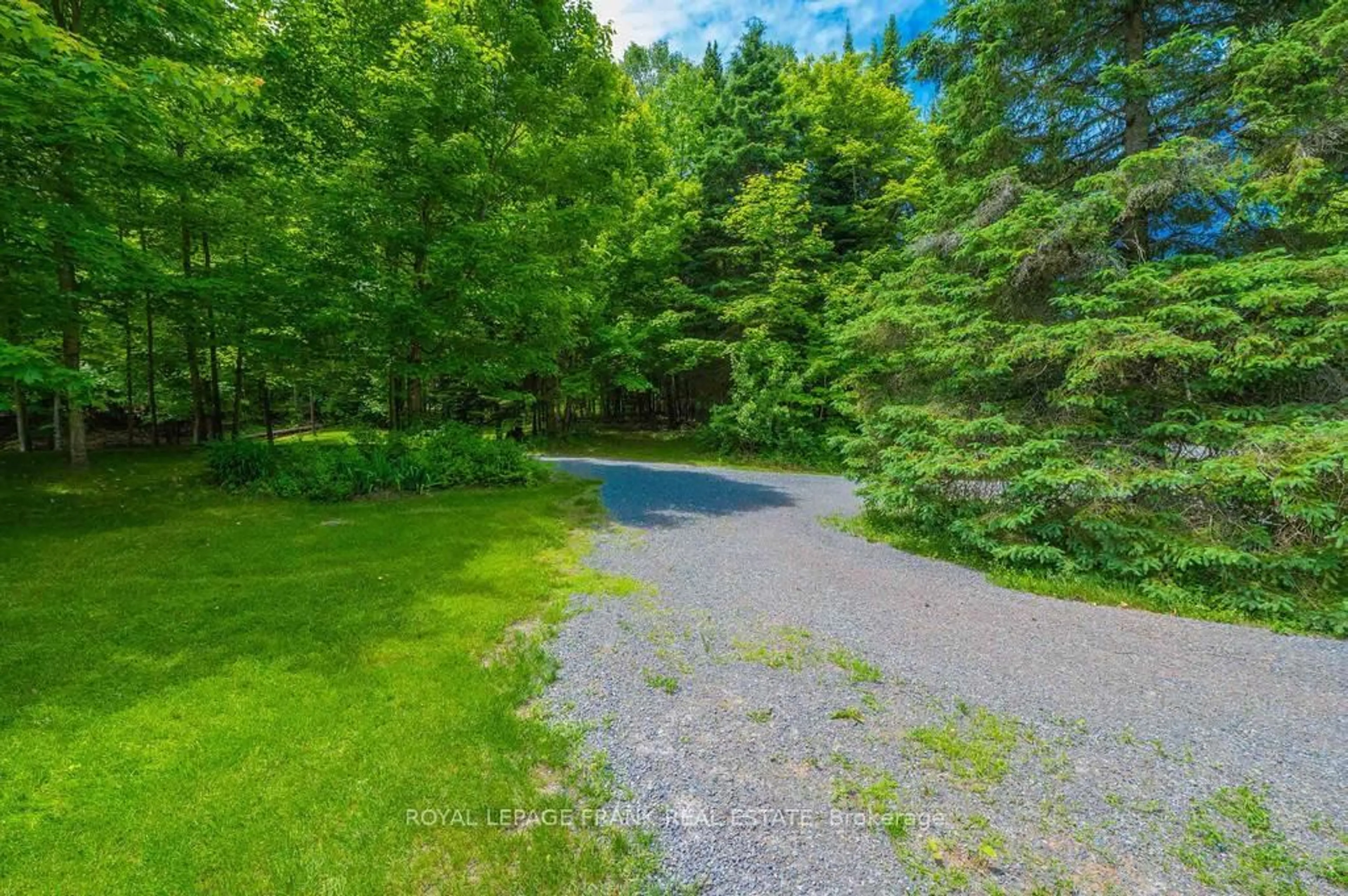 Patio, forest/trees view for 3585 County Road 620, North Kawartha Ontario K0L 1A0
