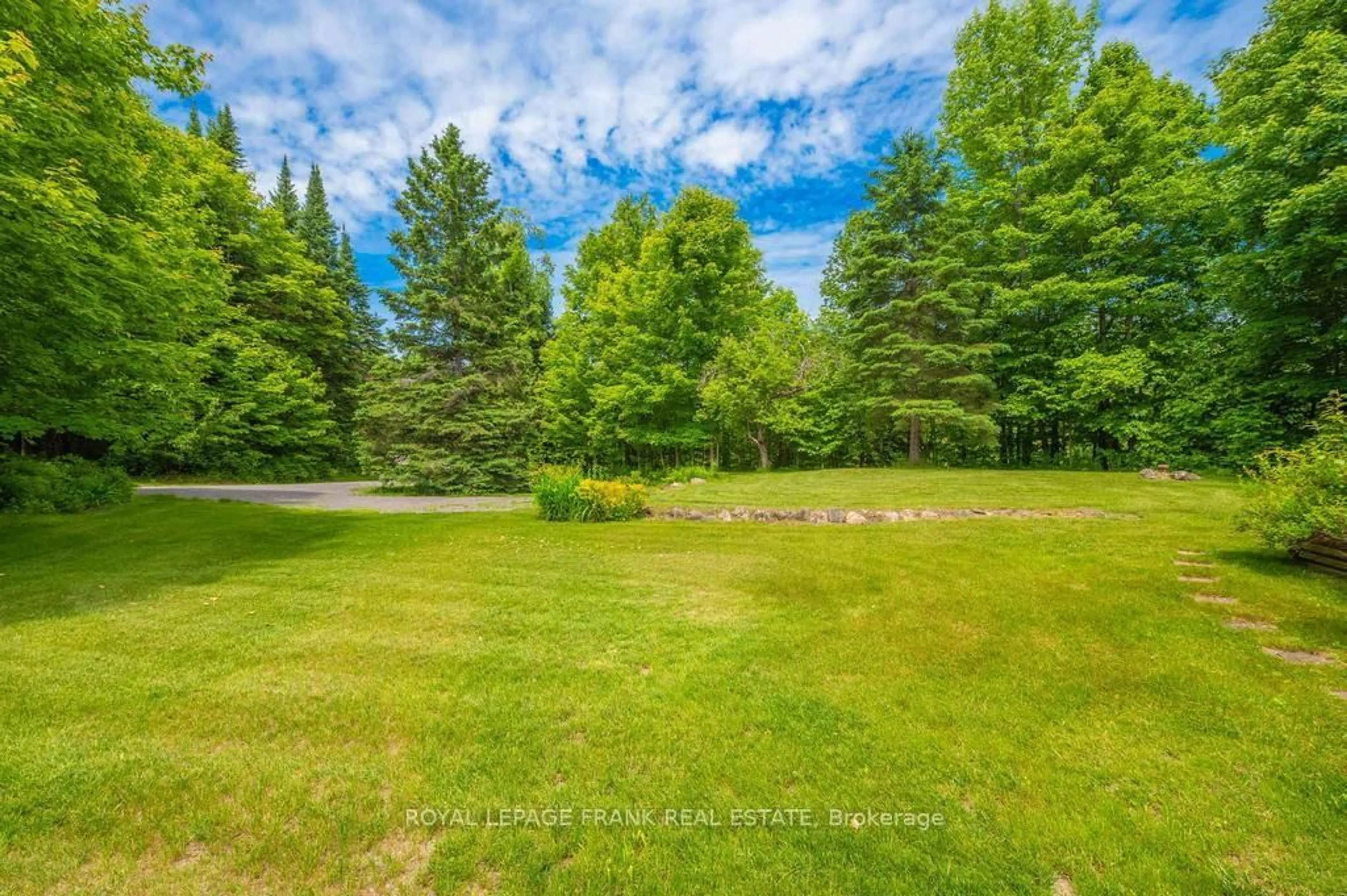A pic from outside/outdoor area/front of a property/back of a property/a pic from drone, forest/trees view for 3585 County Road 620, North Kawartha Ontario K0L 1A0