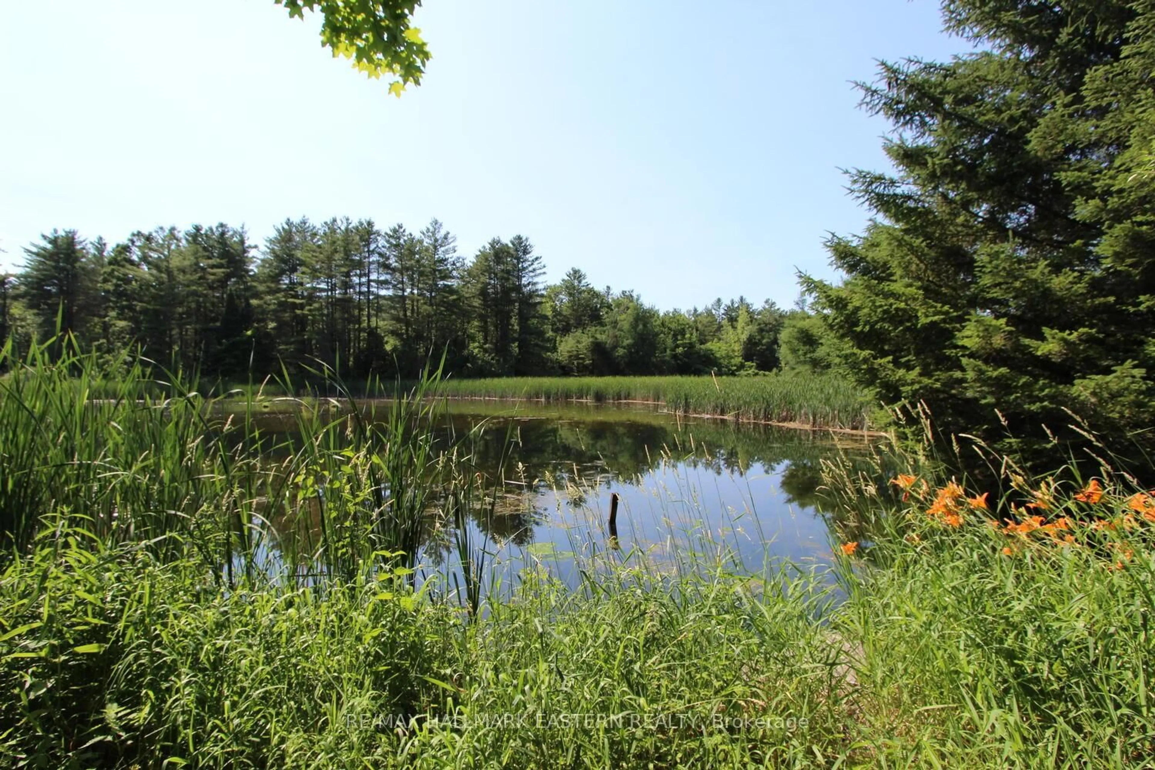 Unknown for 240 Cole Rd, Havelock-Belmont-Methuen Ontario K0L 1Z0