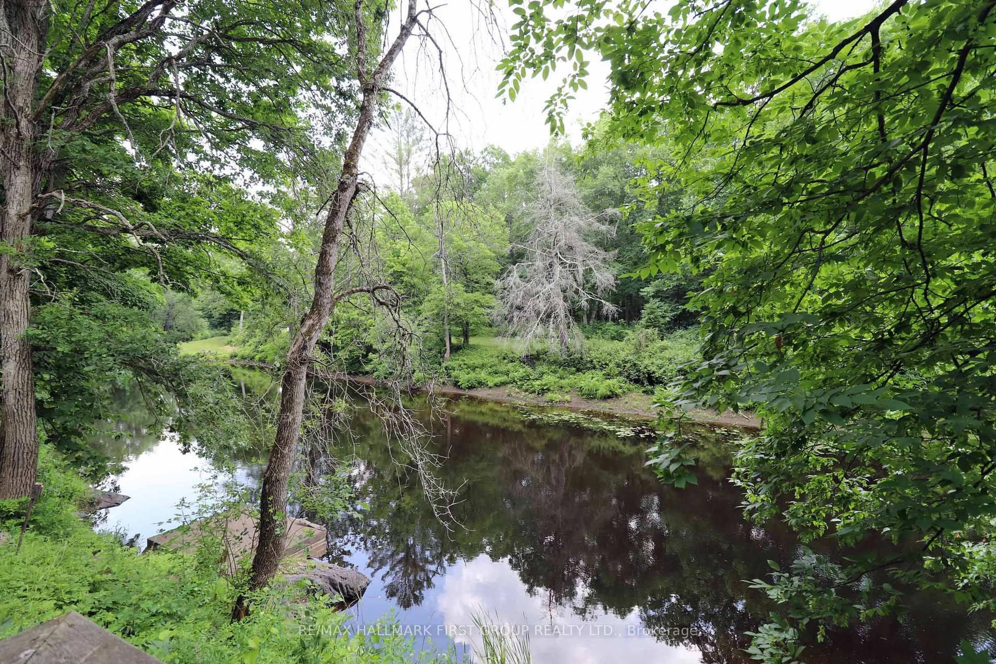 A pic from outside/outdoor area/front of a property/back of a property/a pic from drone, forest/trees view for 228 Kehoe Lane, Tweed Ontario K0K 3J0