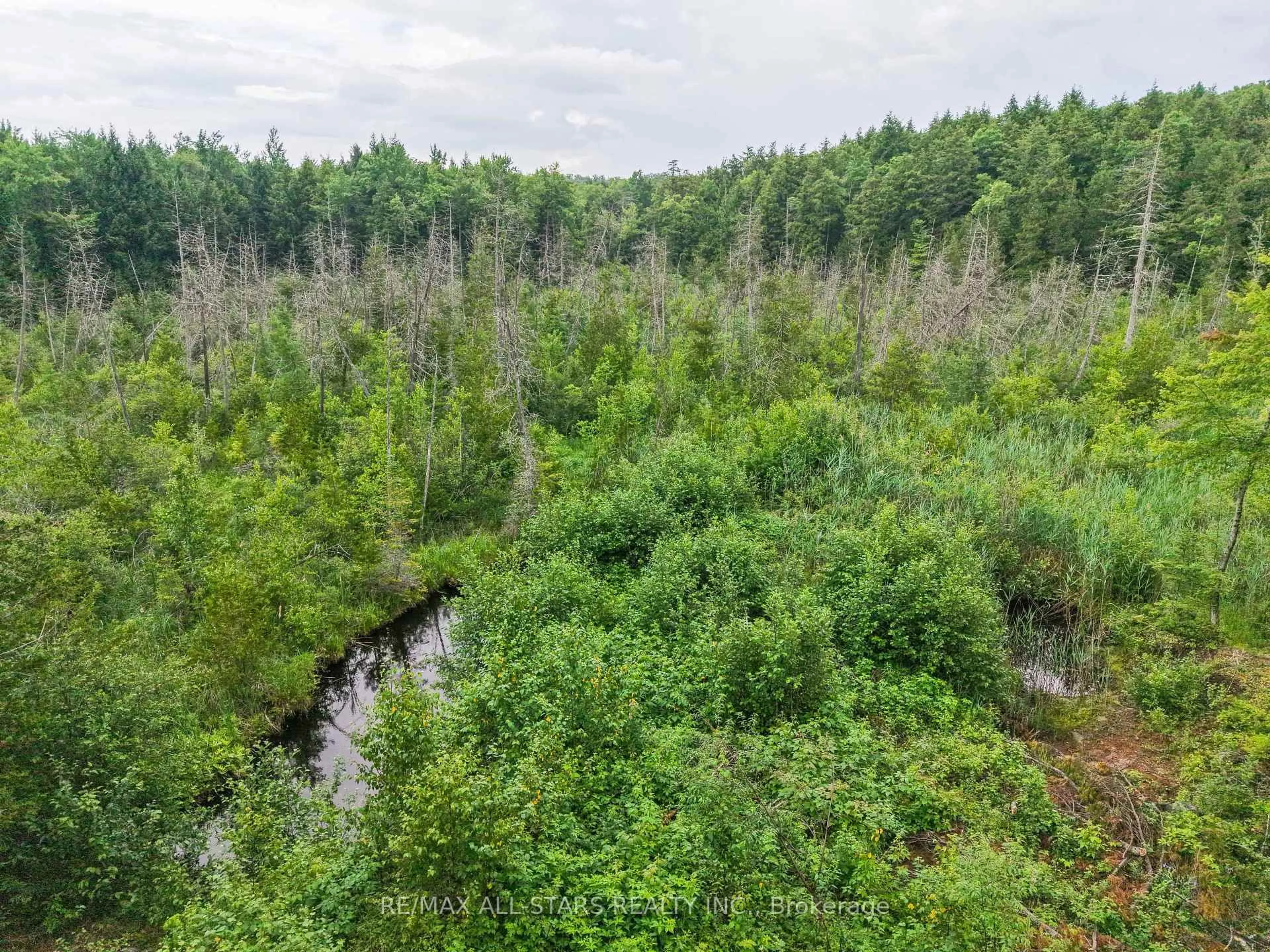A pic from outside/outdoor area/front of a property/back of a property/a pic from drone, forest/trees view for 7227 Old Hastings Rd, Tudor and Cashel Ontario L0L 1W0