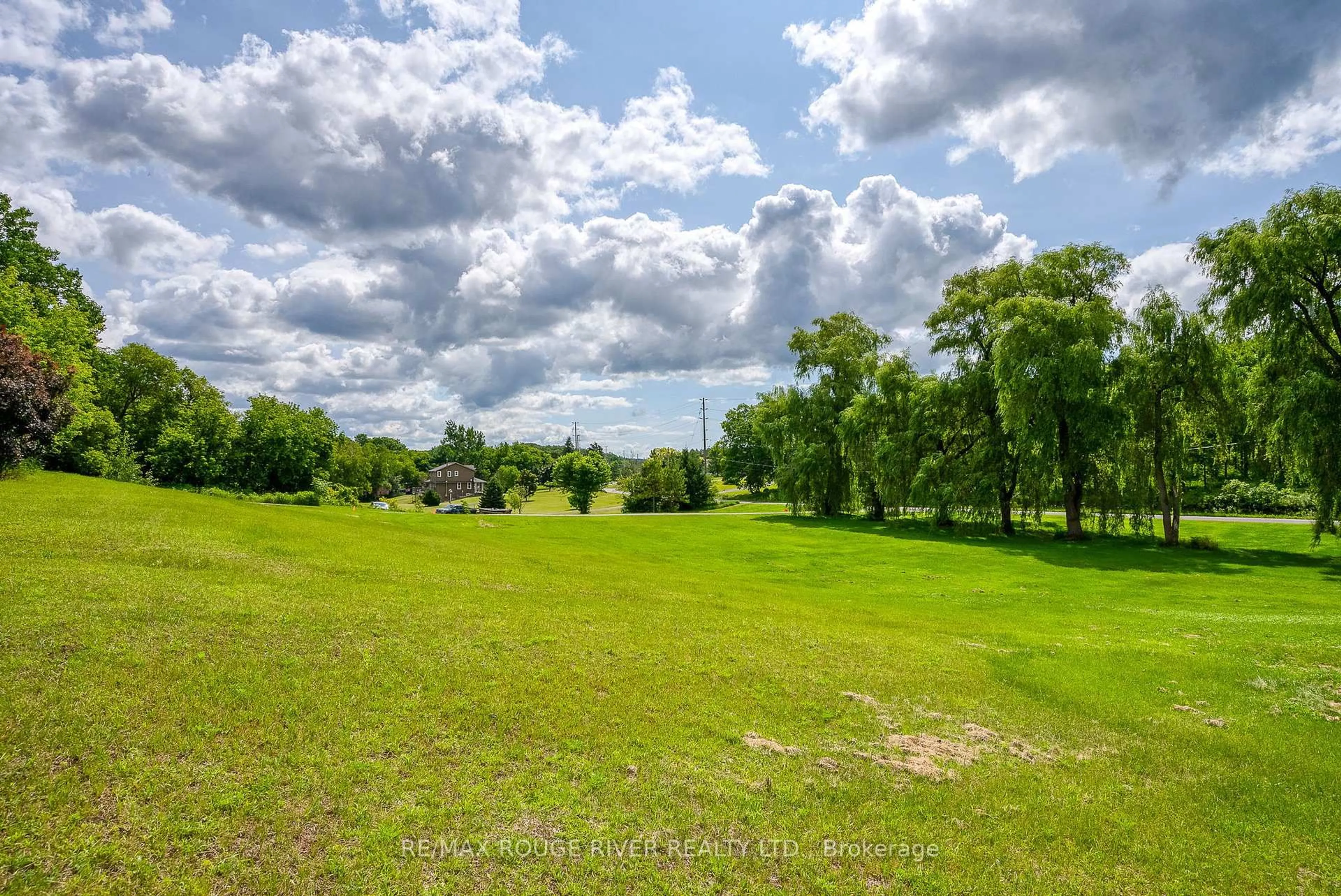 A pic from outside/outdoor area/front of a property/back of a property/a pic from drone, forest/trees view for 448 OLD WOOLER Rd, Brighton Ontario K0K 1R0