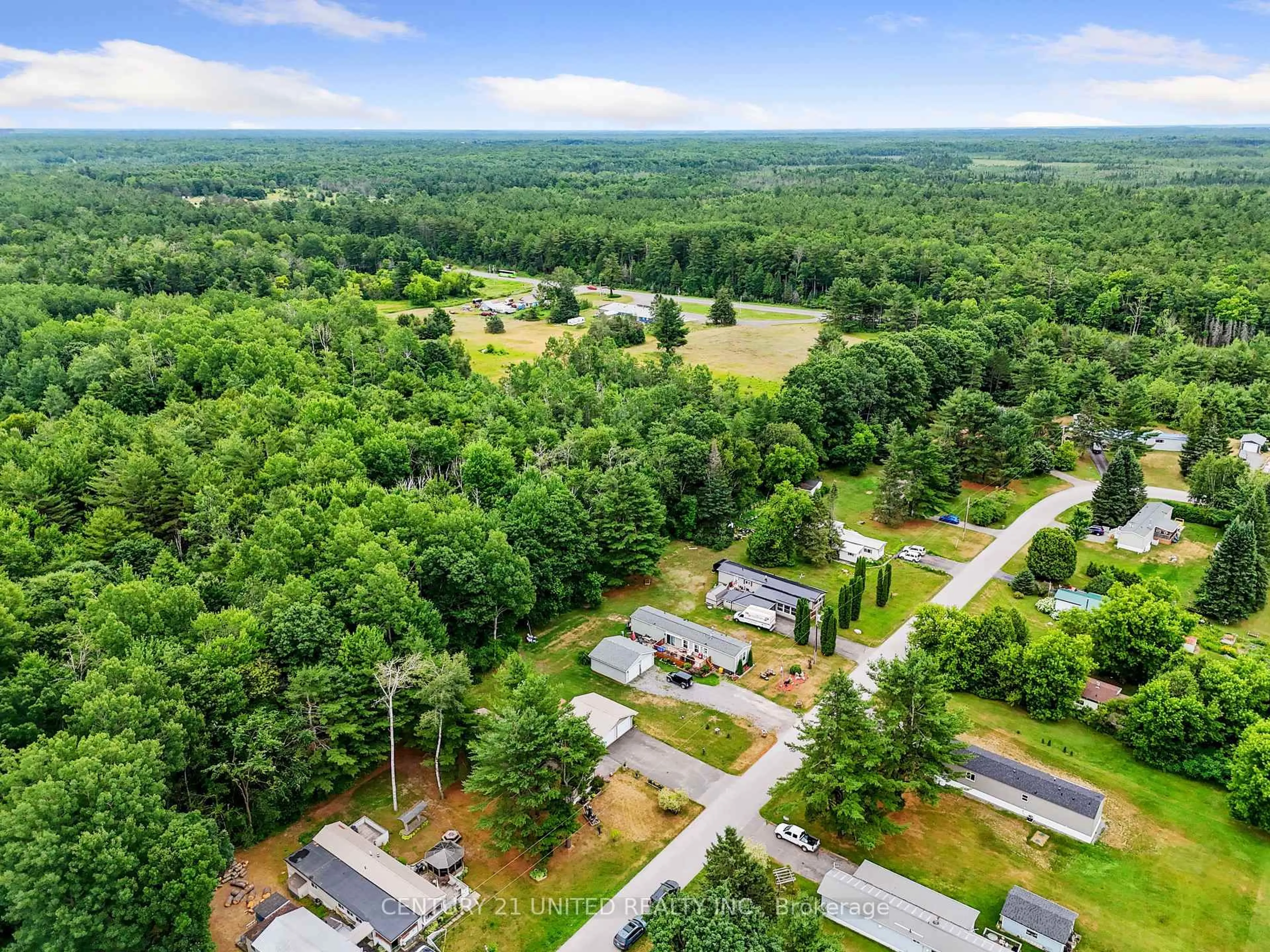 A pic from outside/outdoor area/front of a property/back of a property/a pic from drone, forest/trees view for 77 Belmont St, Havelock-Belmont-Methuen Ontario K0L 1Z0