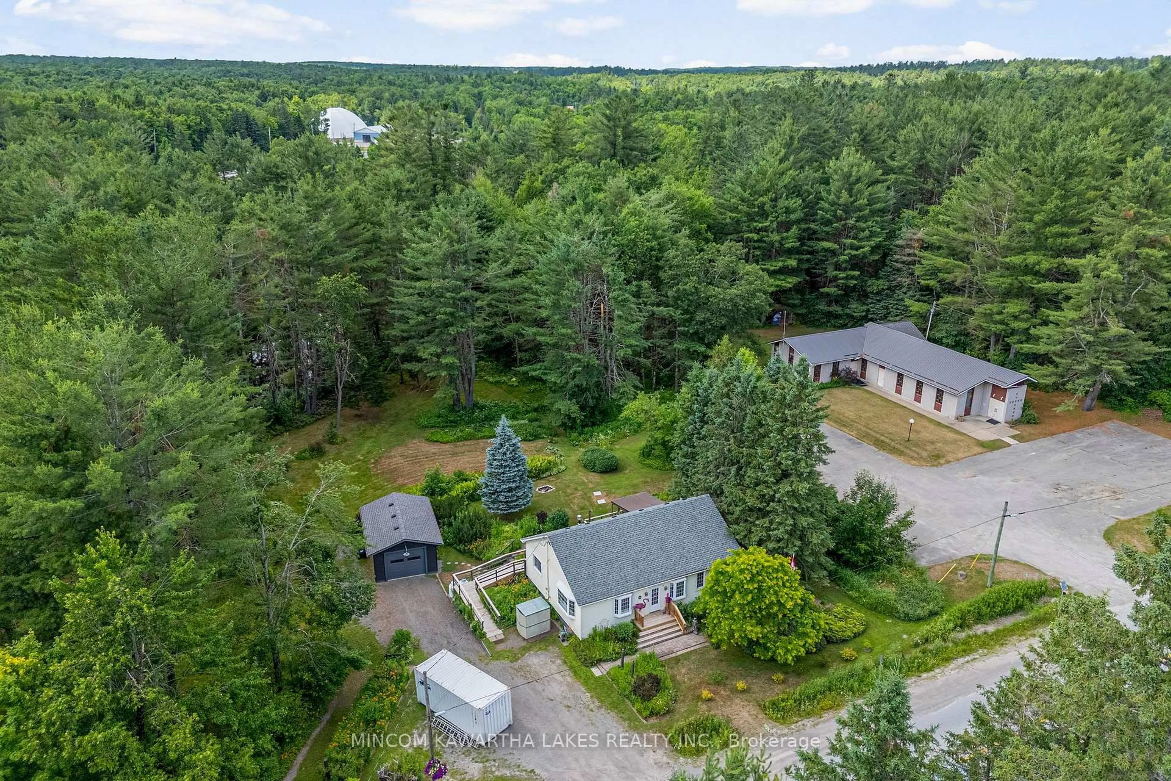 A pic from outside/outdoor area/front of a property/back of a property/a pic from drone, forest/trees view for 60 Burleigh St, North Kawartha Ontario K0L 1A0