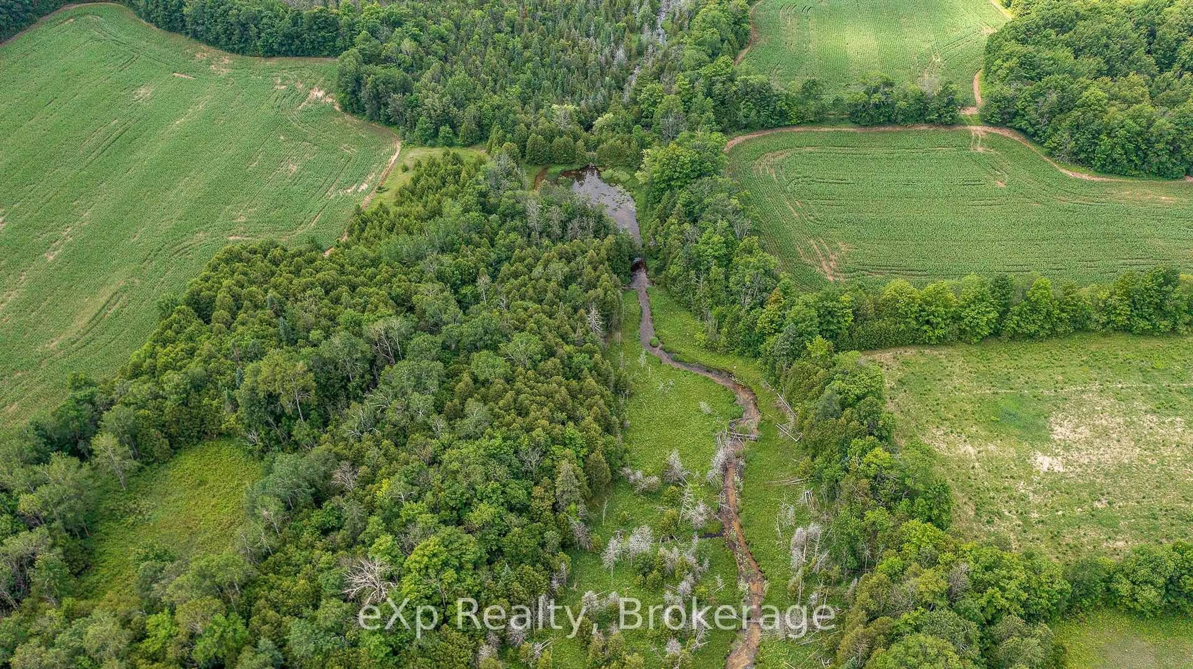 A pic from outside/outdoor area/front of a property/back of a property/a pic from drone, forest/trees view for 4558803 Concession 3B, Chatsworth Ontario N0H 1R0