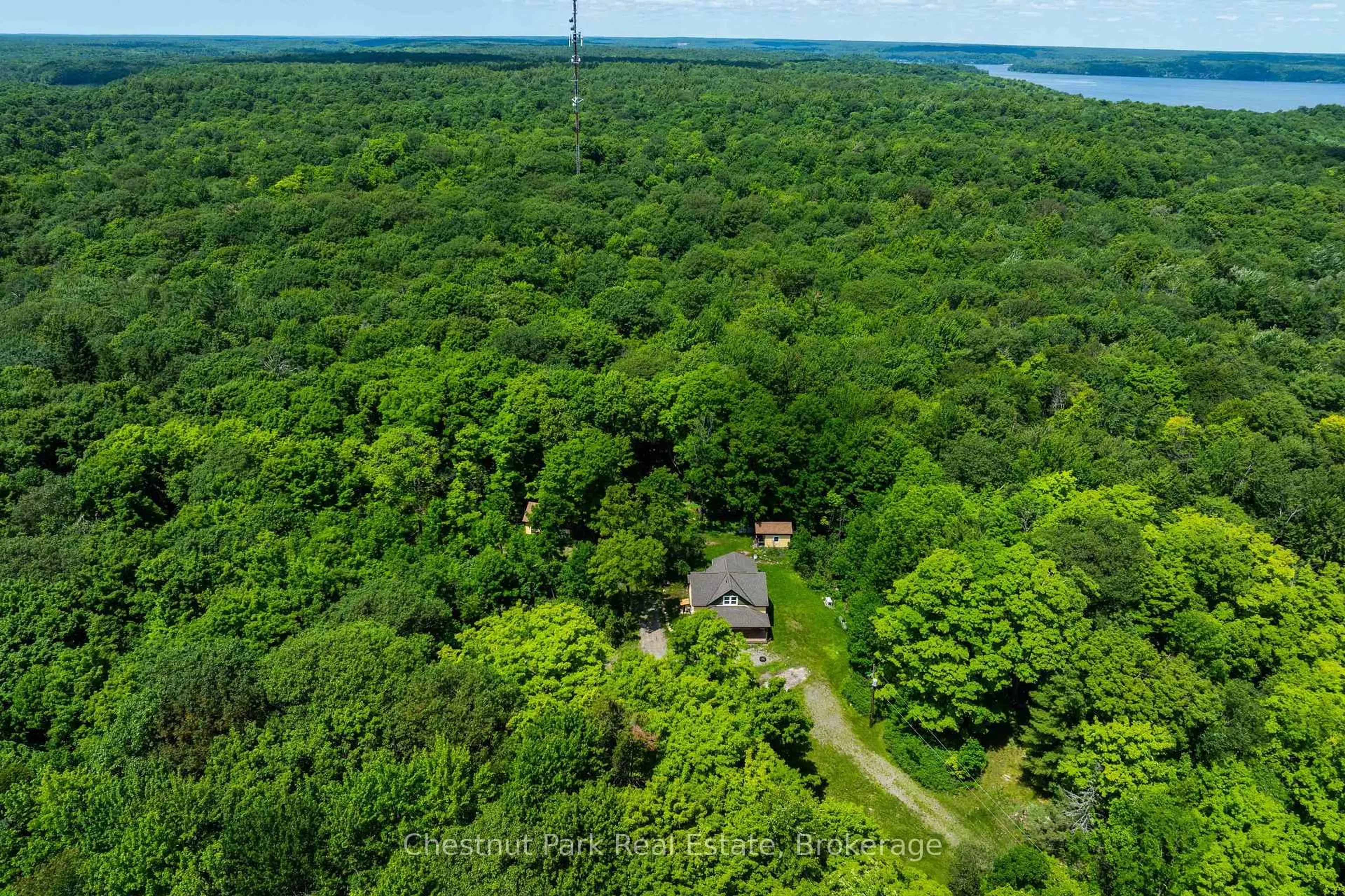 A pic from outside/outdoor area/front of a property/back of a property/a pic from drone, forest/trees view for 1435 Juddhaven Rd, Muskoka Lakes Ontario P0B 1J0