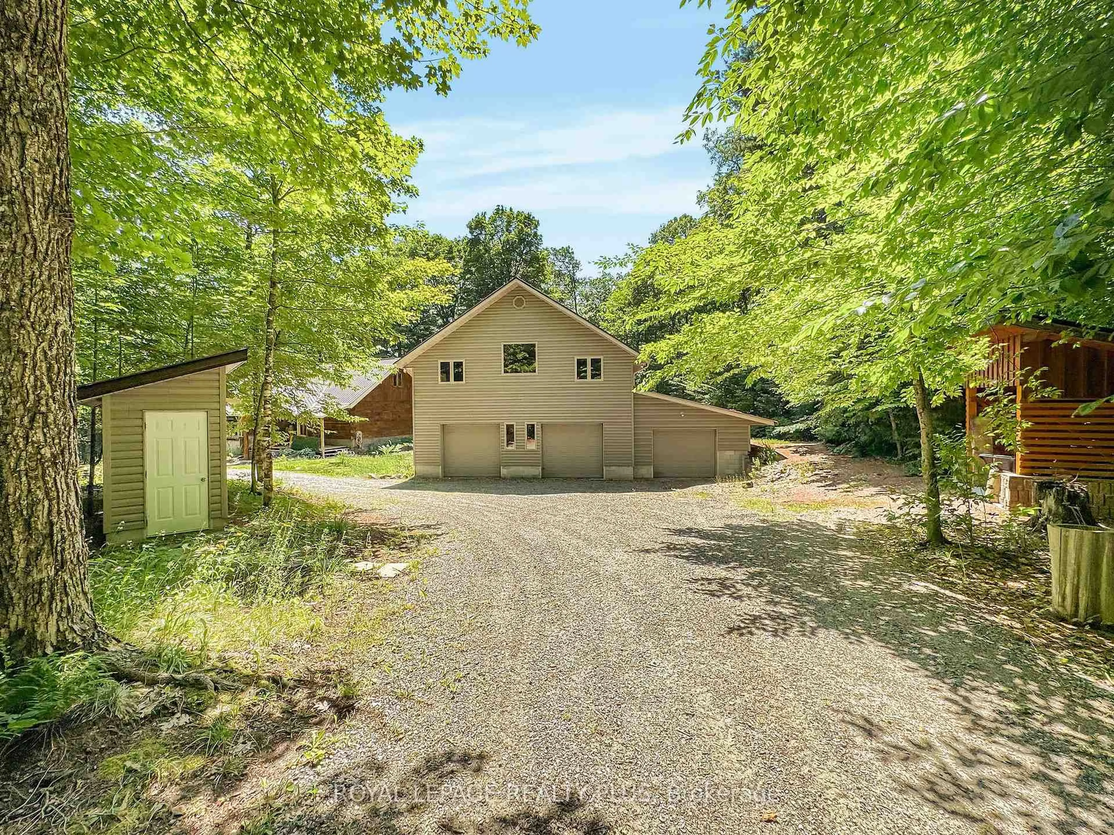 A pic from outside/outdoor area/front of a property/back of a property/a pic from drone, forest/trees view for 203 Cottage Lane, Carlow/Mayo Ontario K0L 2M0