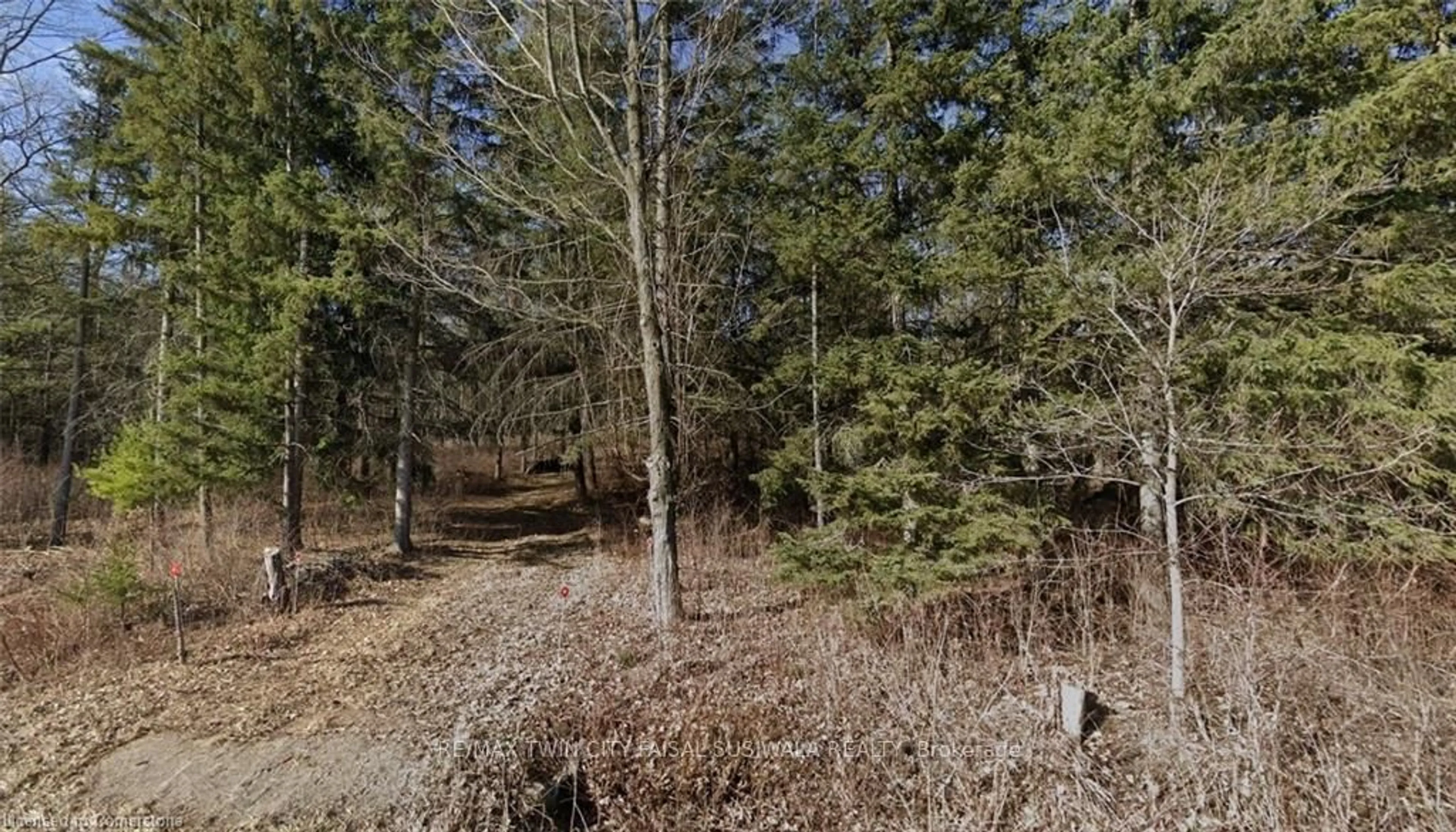 A pic from outside/outdoor area/front of a property/back of a property/a pic from drone, forest/trees view for PT LT H Shellard Rd, Cambridge Ontario N1R 5S7