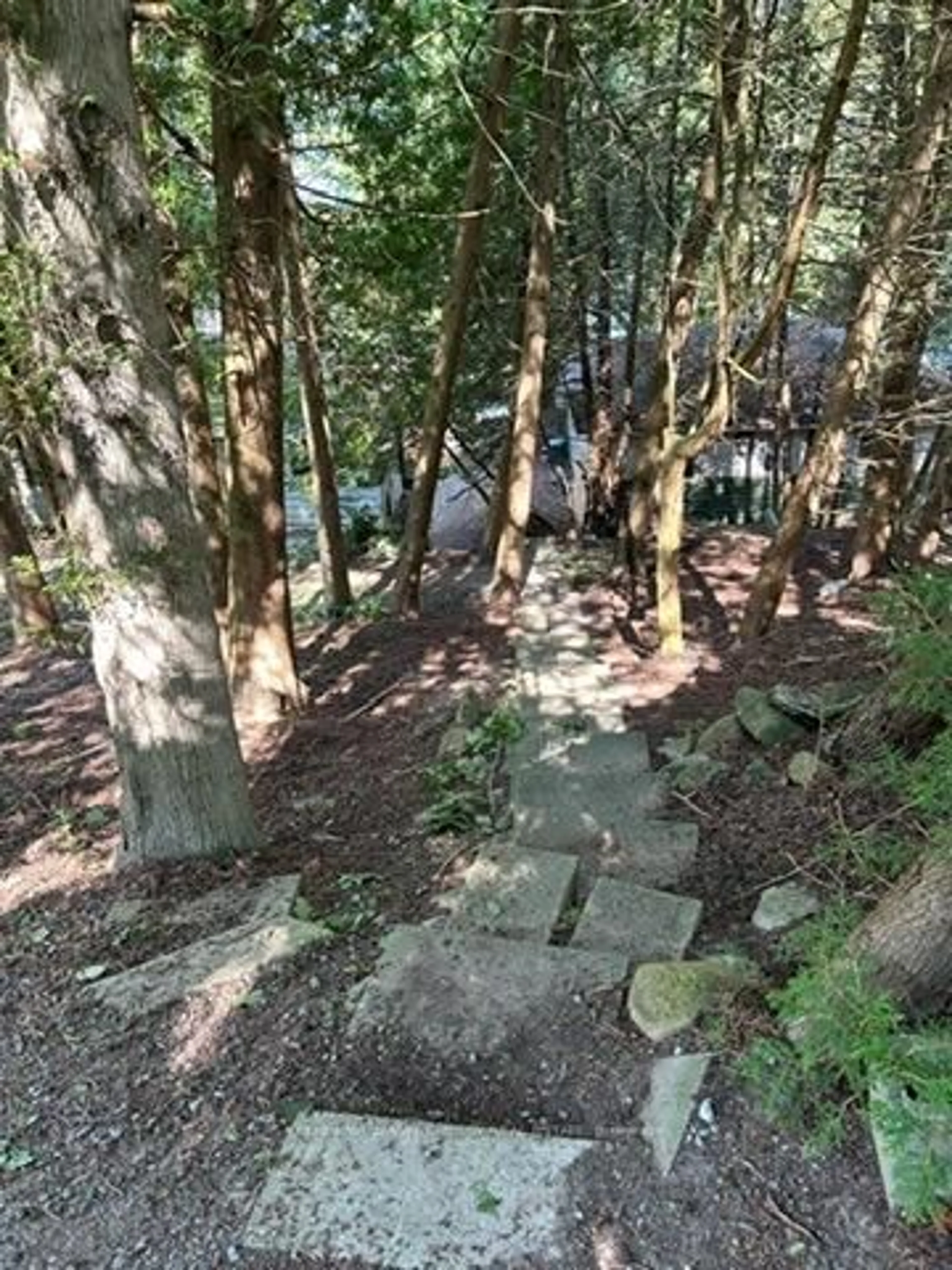 A pic from outside/outdoor area/front of a property/back of a property/a pic from drone, forest/trees view for 140-5275 William Rd, Hamilton Township Ontario K0K 1E0