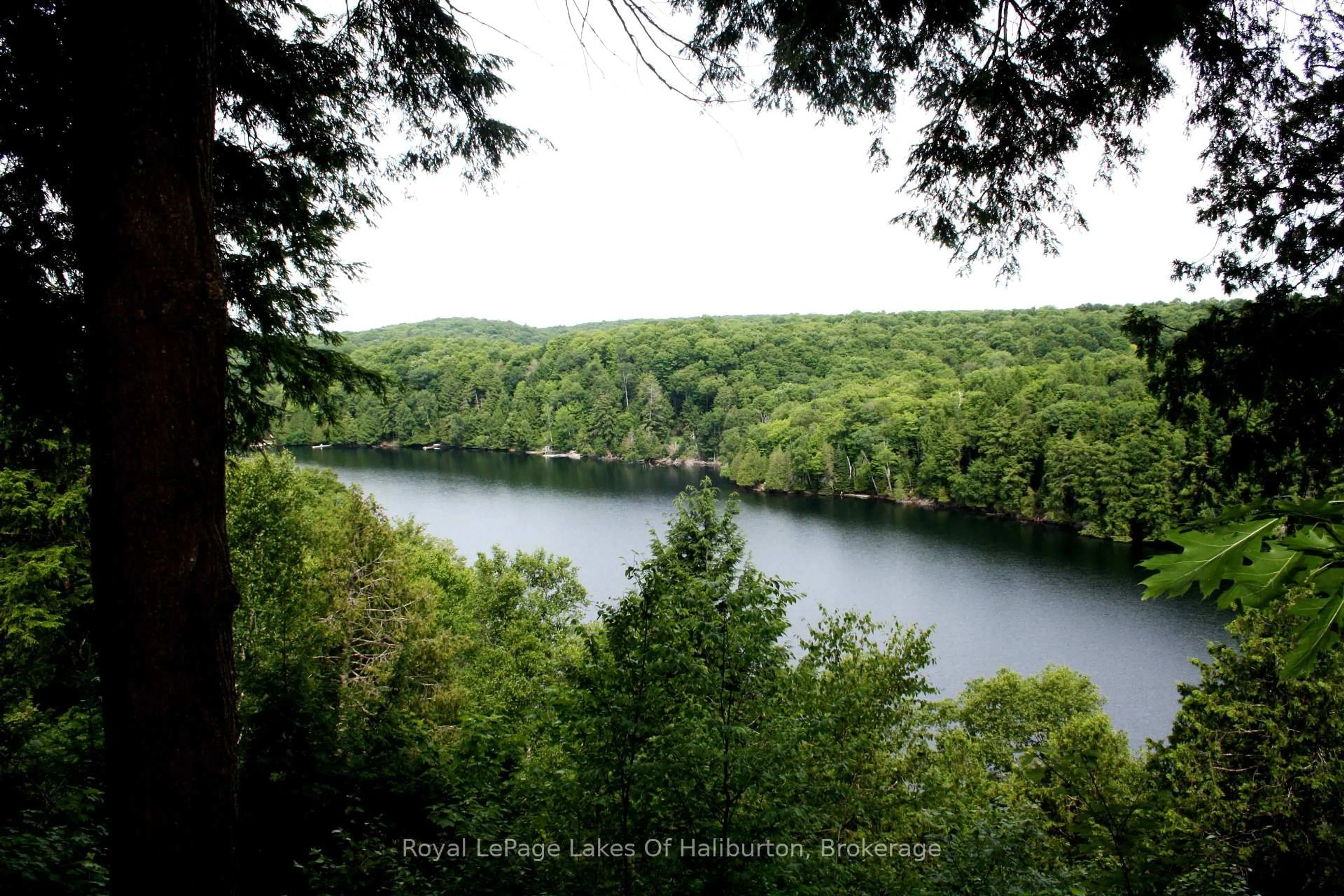 Blurry image for 1287 Precipice Rd, Dysart et al Ontario K0M 1S0
