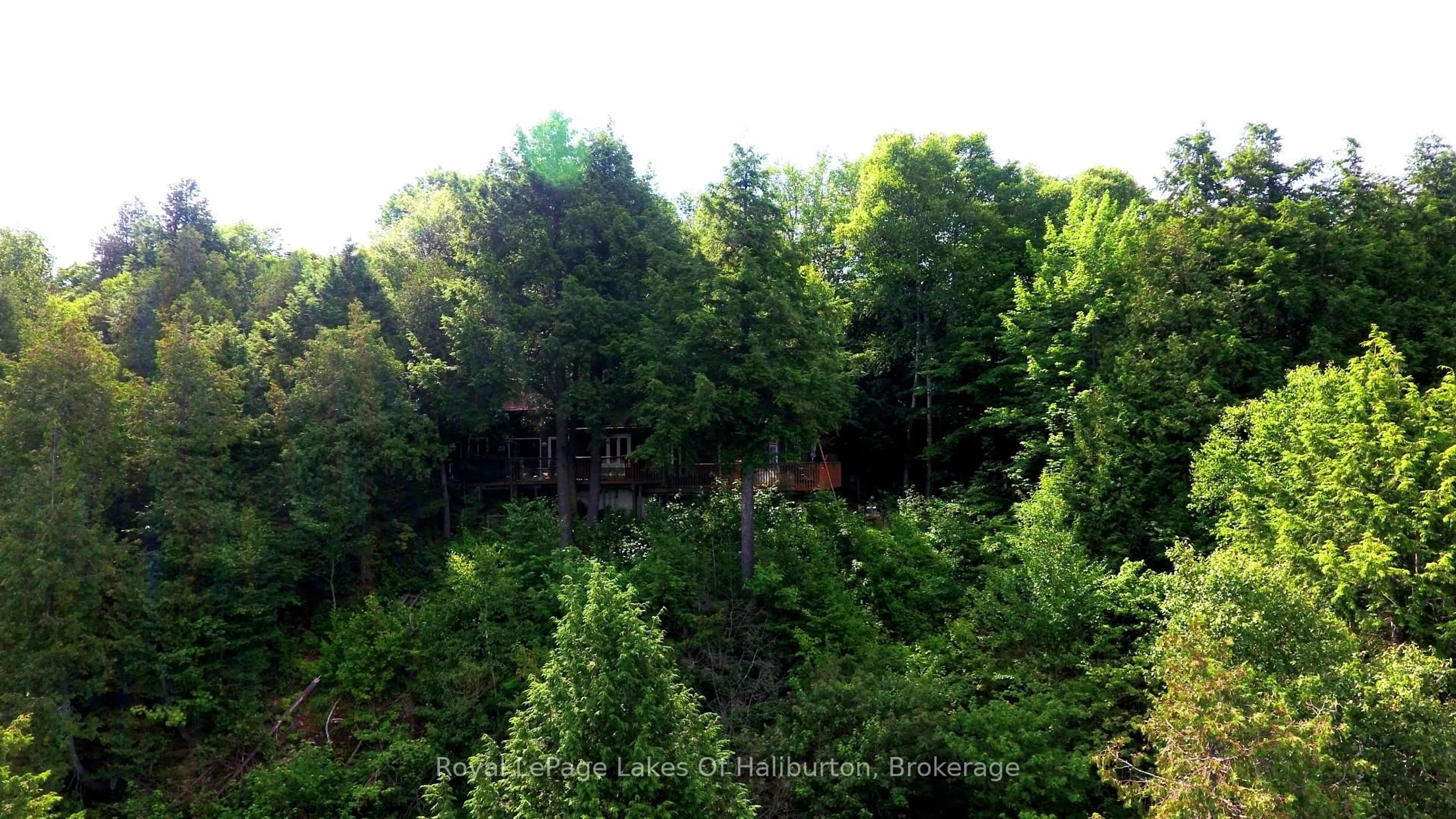 Blurry image for 1287 Precipice Rd, Dysart et al Ontario K0M 1S0