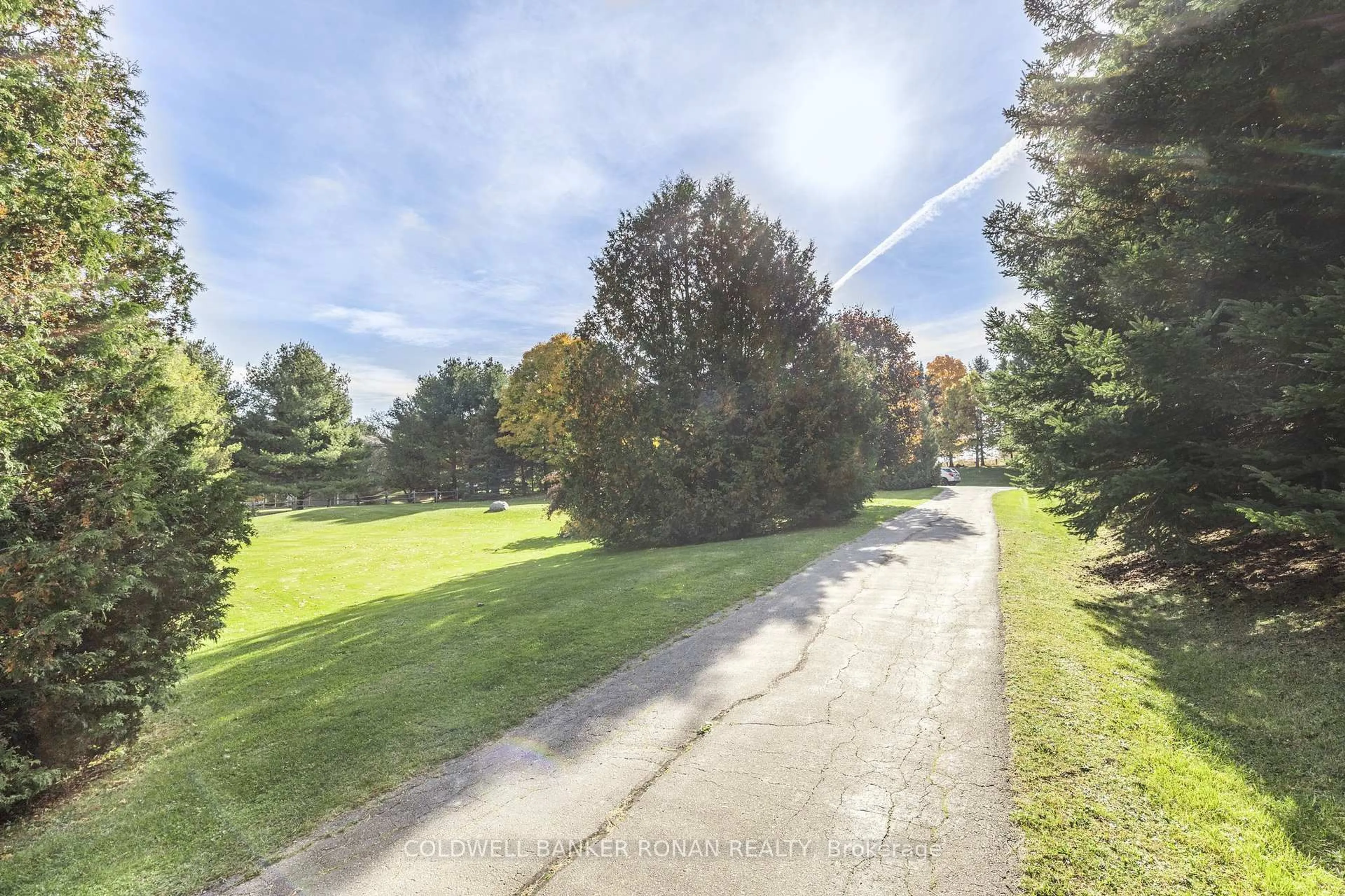 A pic from outside/outdoor area/front of a property/back of a property/a pic from drone, forest/trees view for 20 Mountainview Rd, Mulmur Ontario L9V 3H5
