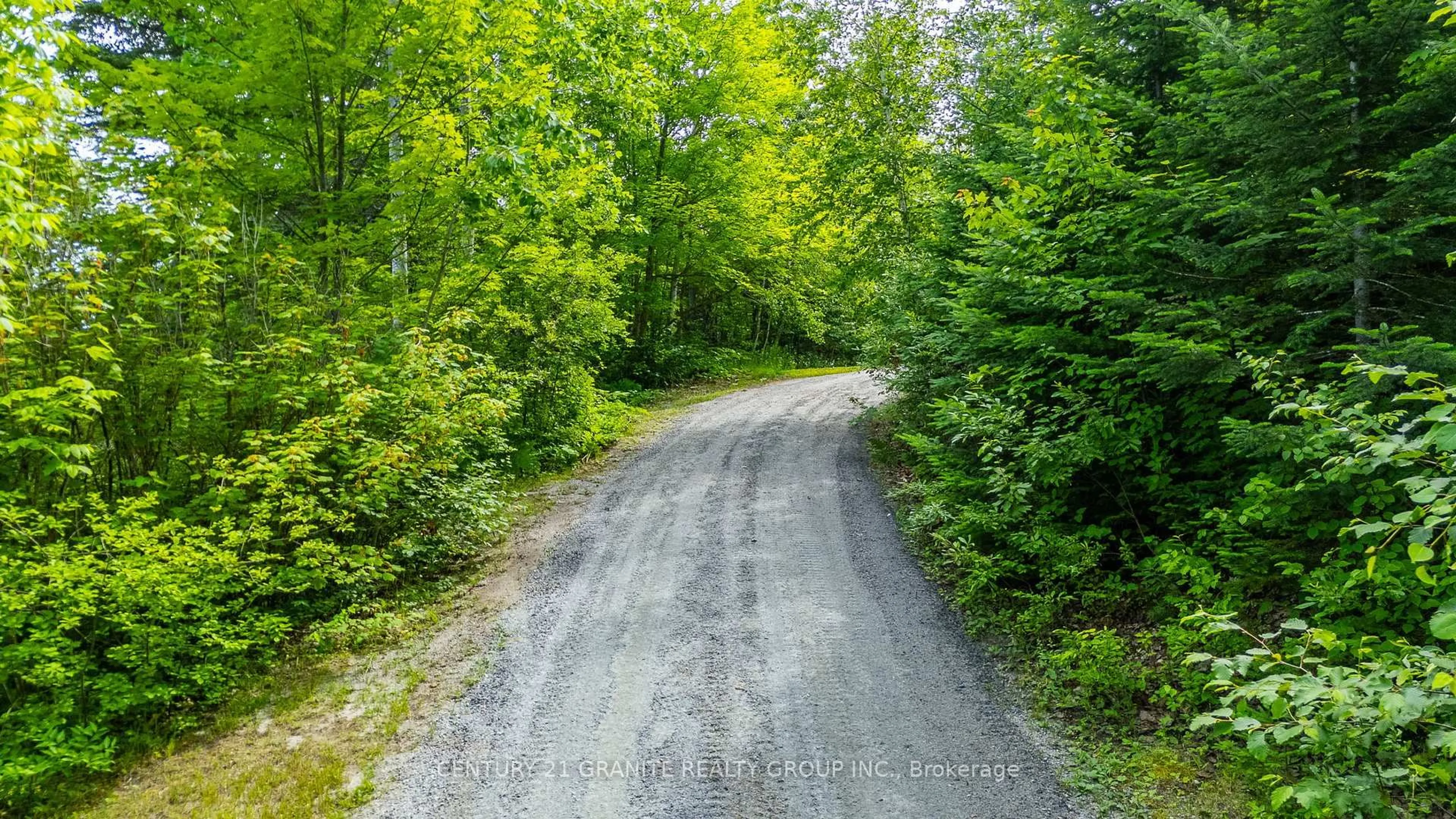 Blurry image for 928 Lake St Peter Rd, Maynooth Ontario K0L 2K0