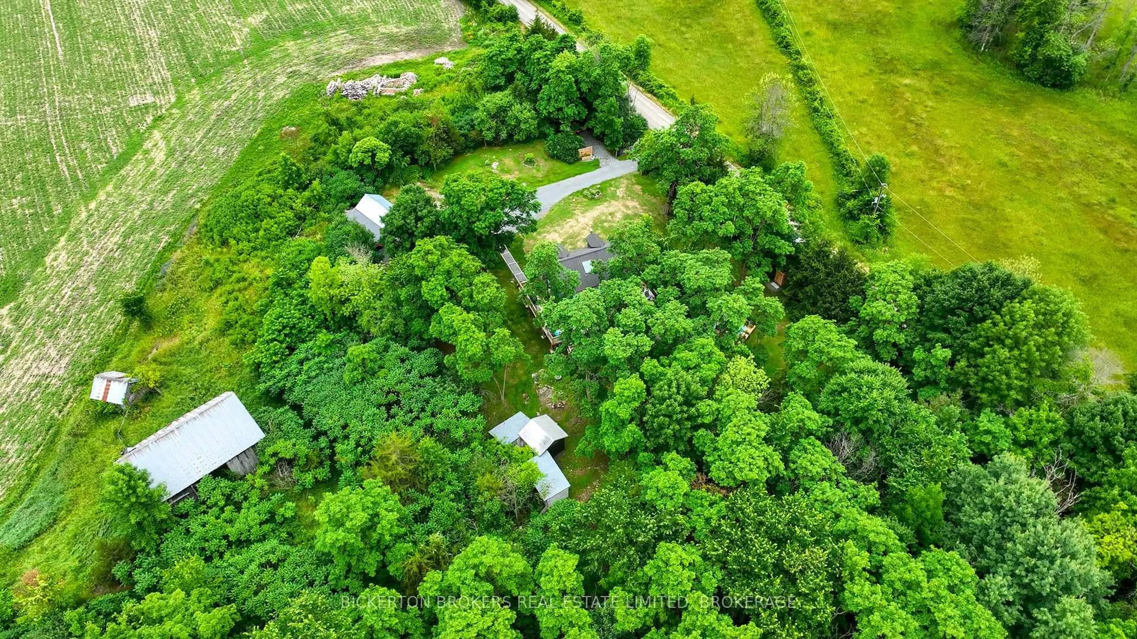 A pic from outside/outdoor area/front of a property/back of a property/a pic from drone, forest/trees view for 971 Fortune Line Rd, Rideau Lakes Ontario K0E 1N0