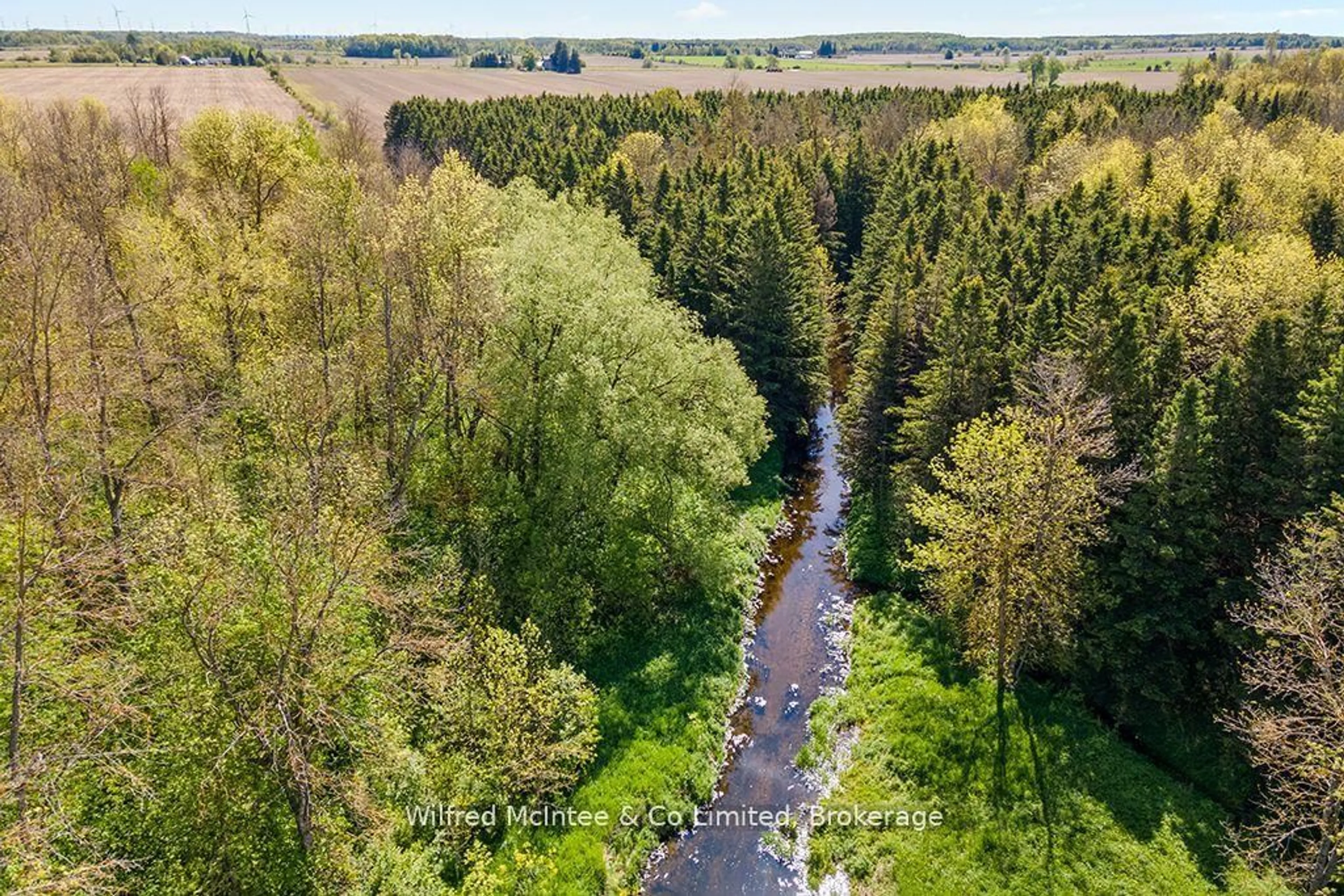 A pic from outside/outdoor area/front of a property/back of a property/a pic from drone, forest/trees view for 8446 Line 12, Wellington North Ontario N0G 1N0