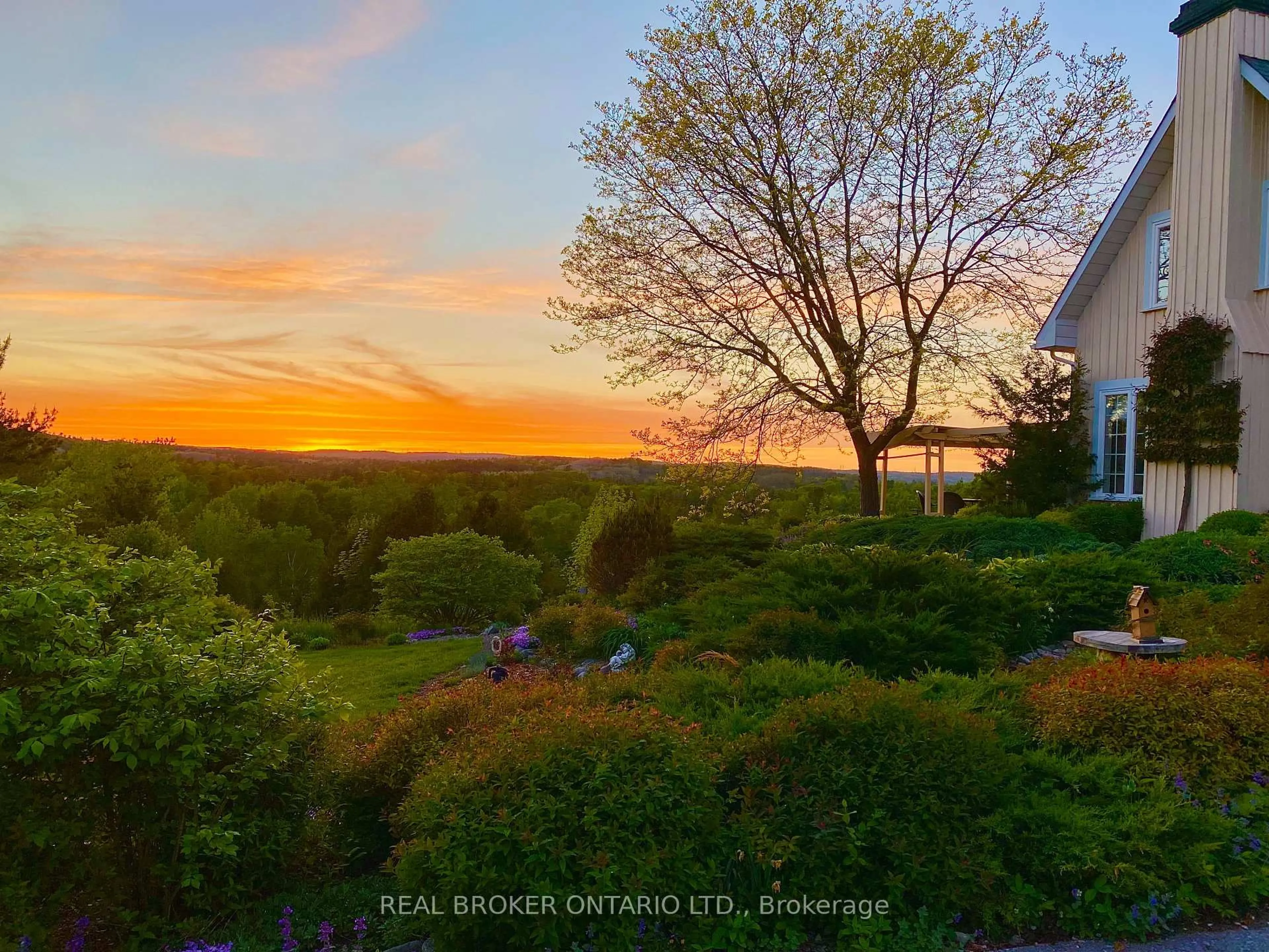 A pic from outside/outdoor area/front of a property/back of a property/a pic from drone, forest/trees view for 1169 Inglis Rd, Alnwick/Haldimand Ontario K0K 2G0