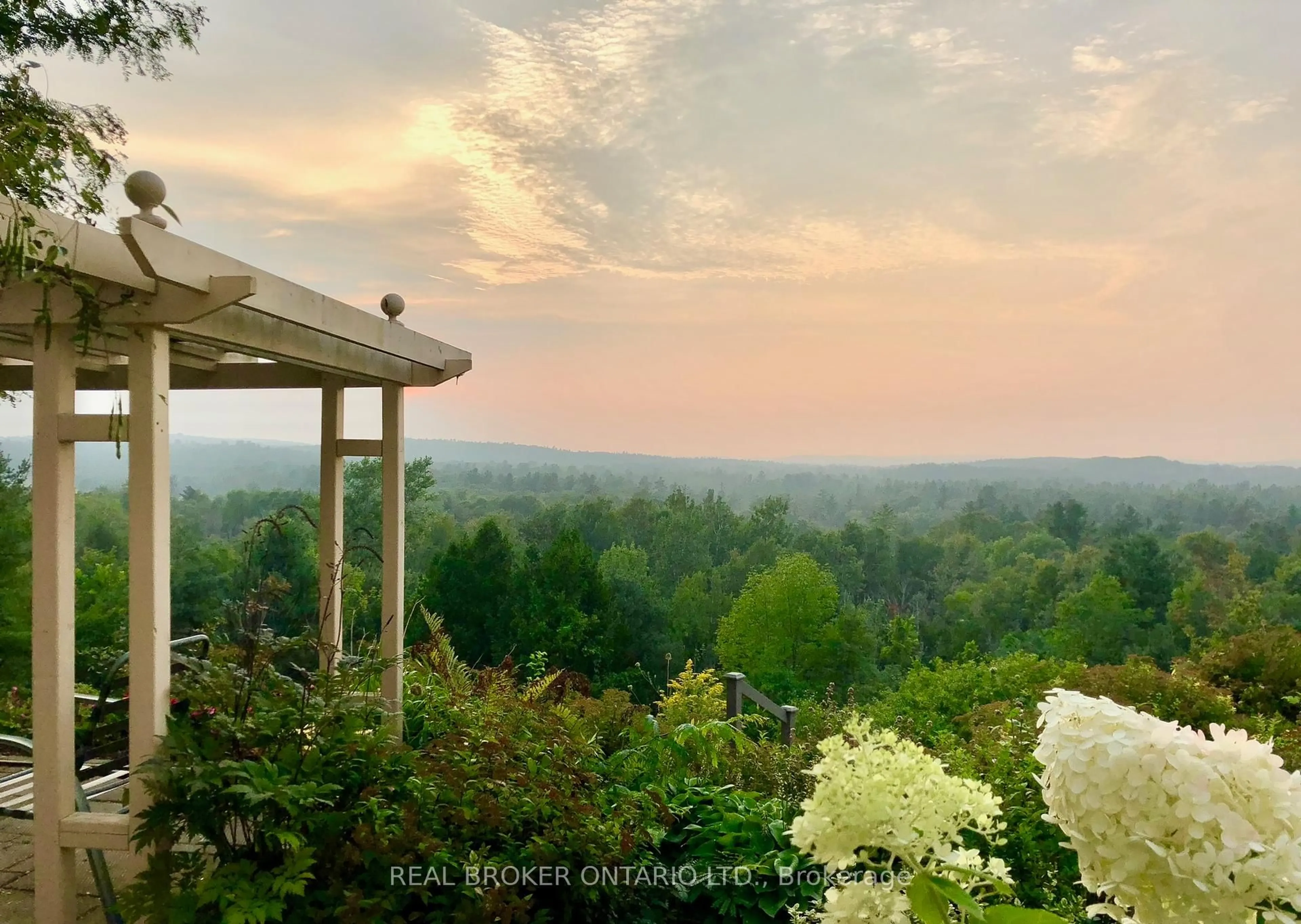 A pic from outside/outdoor area/front of a property/back of a property/a pic from drone, forest/trees view for 1169 Inglis Rd, Alnwick/Haldimand Ontario K0K 2G0