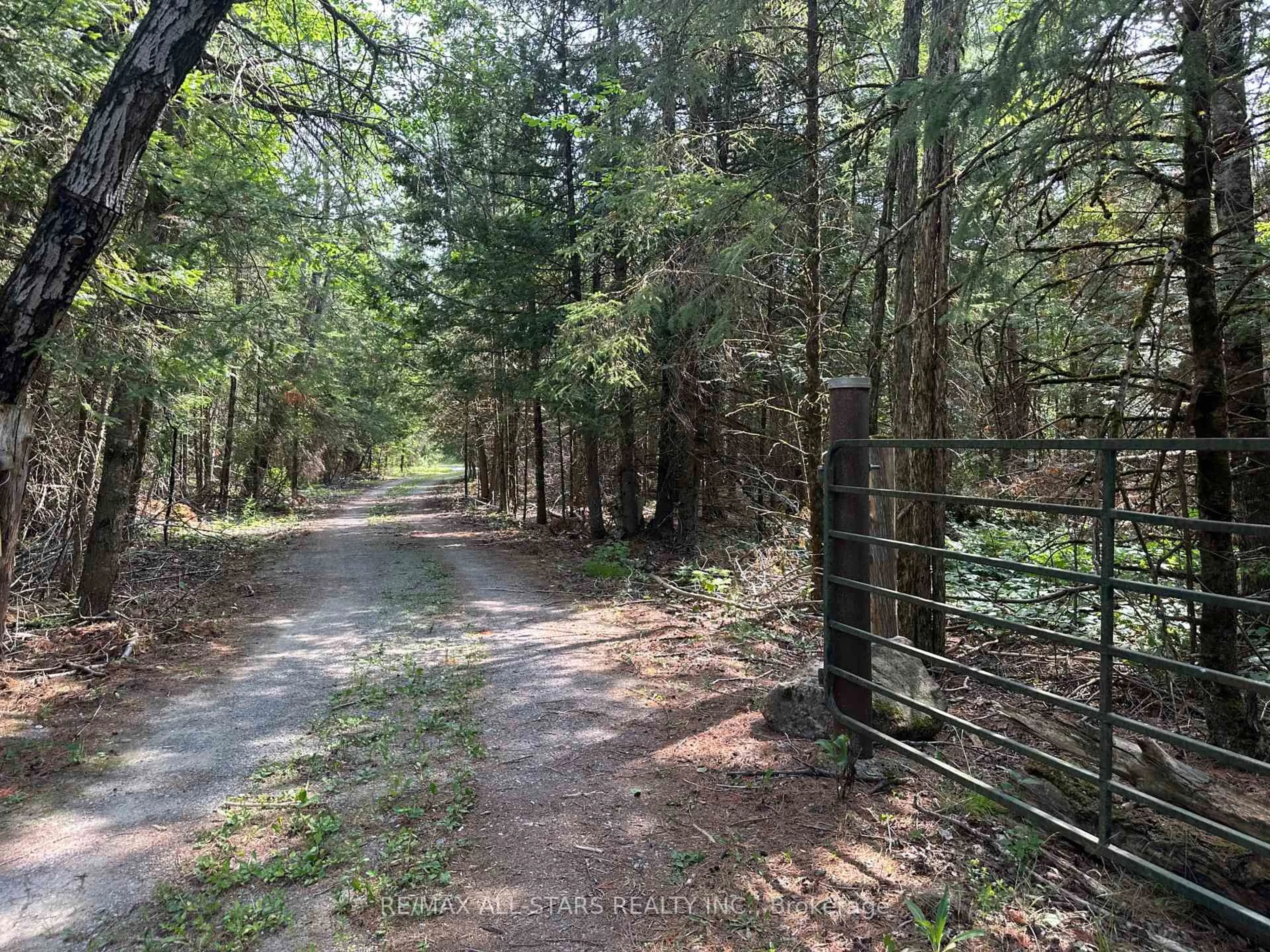 A pic from outside/outdoor area/front of a property/back of a property/a pic from drone, forest/trees view for 380 Ledge Rd, Trent Lakes Ontario K0M 1A0