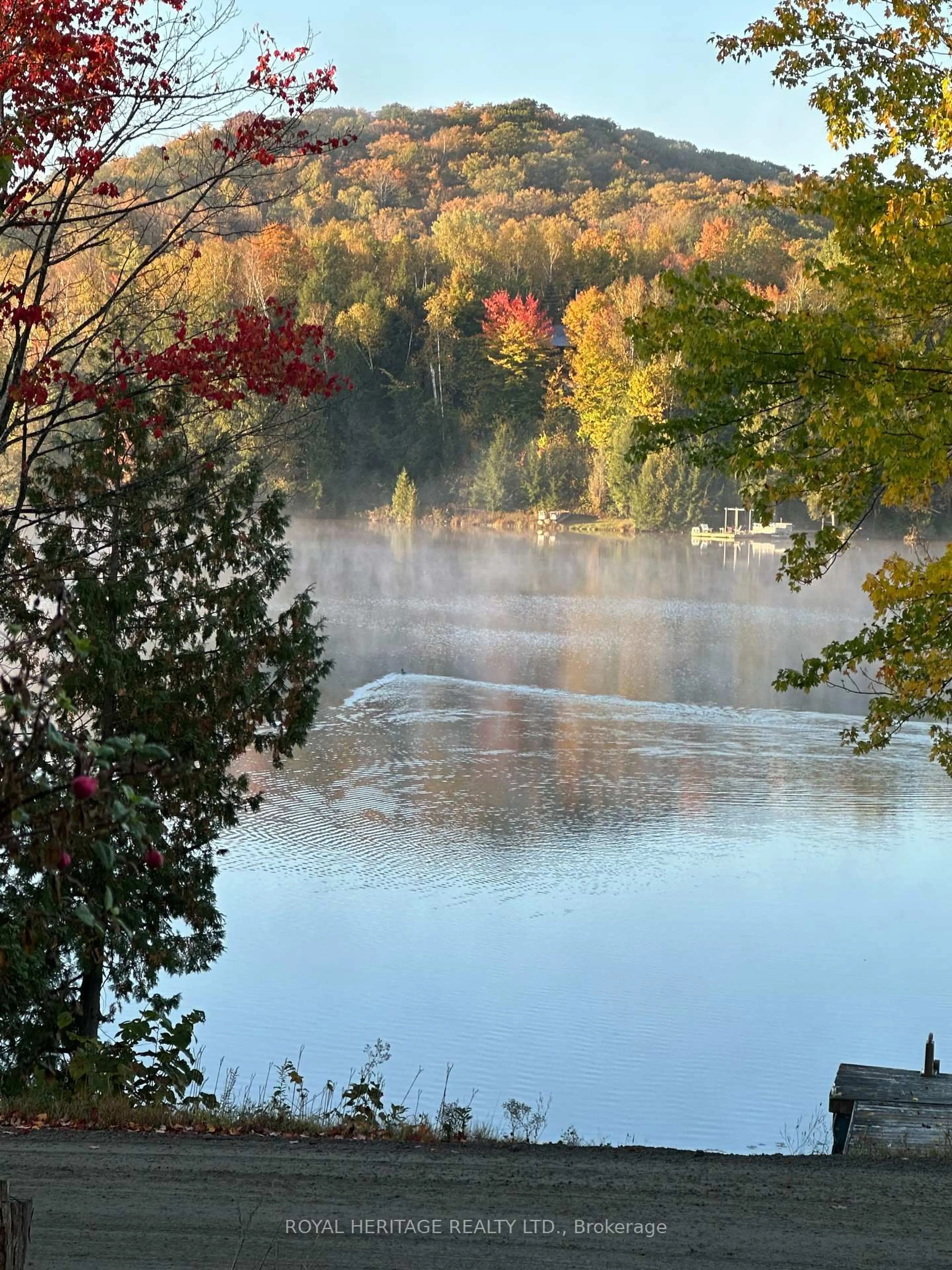 Blurry image for 256 Trout Lake Rd, Bancroft Ontario K0L 1C0