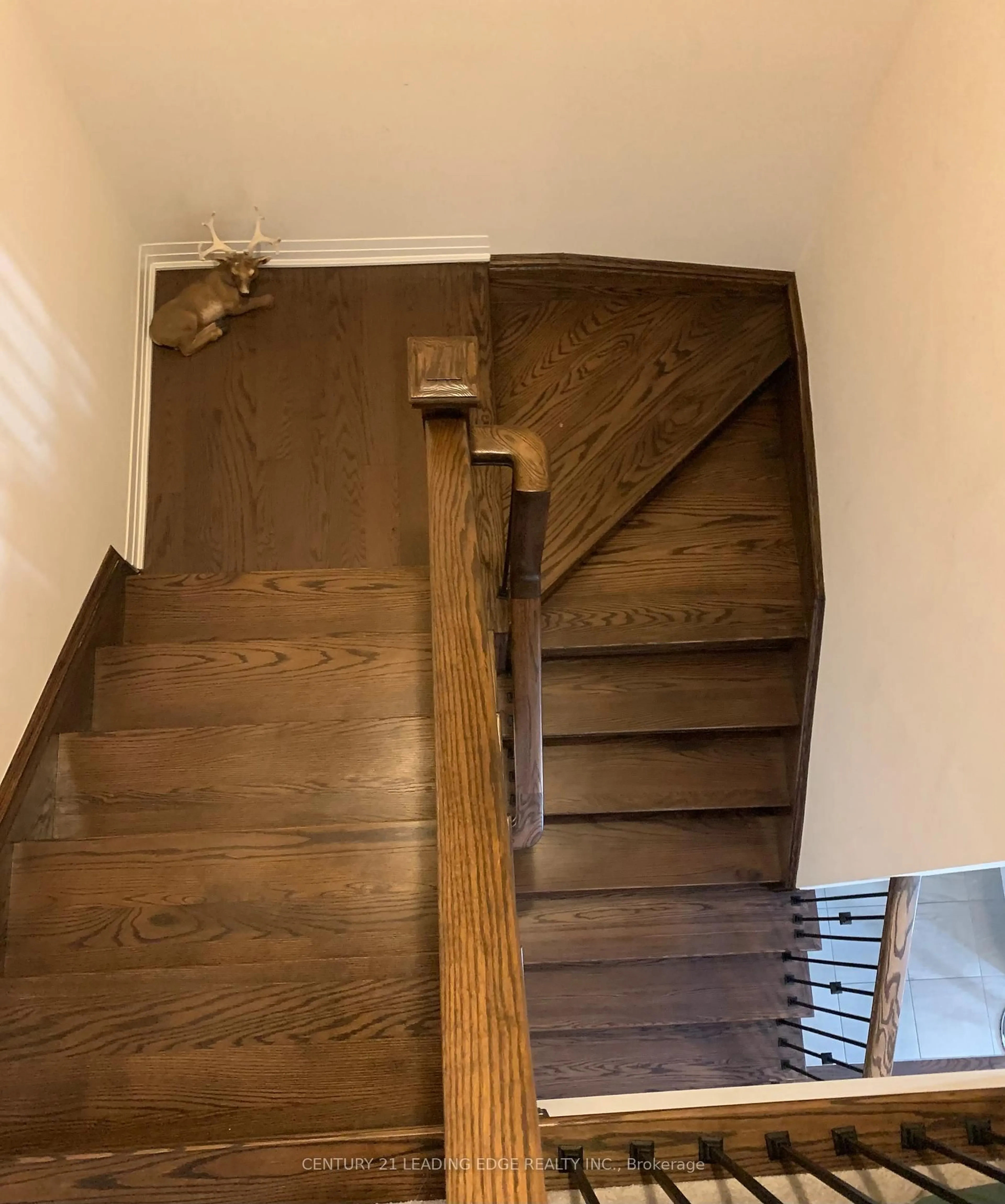 Stairs for 6 Landsborough St #Lot 316, East Luther Grand Valley Ontario L9W 7R1