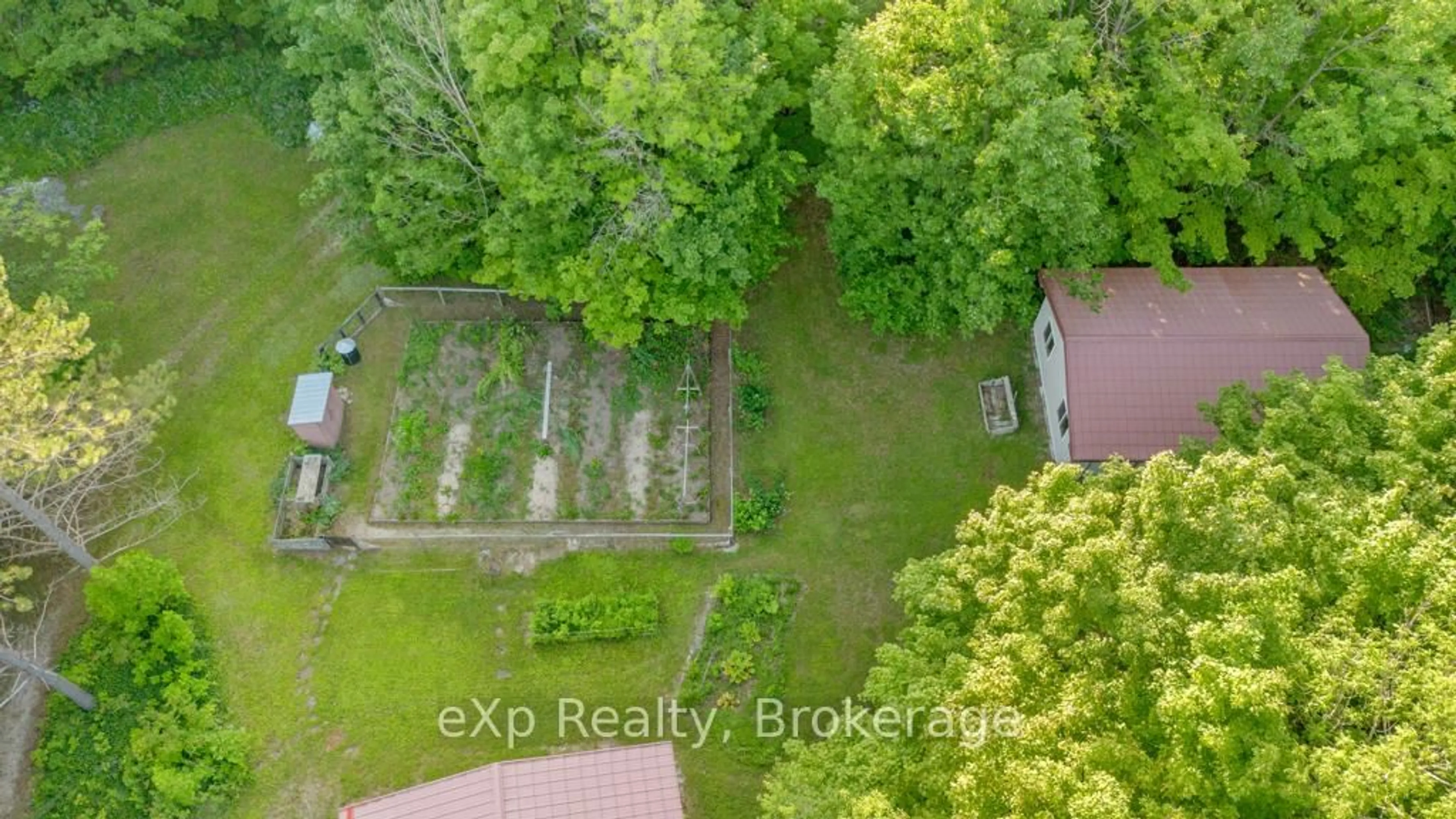 A pic from outside/outdoor area/front of a property/back of a property/a pic from drone, forest/trees view for 482475 Colpoy's Range Rd, Georgian Bluffs Ontario N0H 2T0
