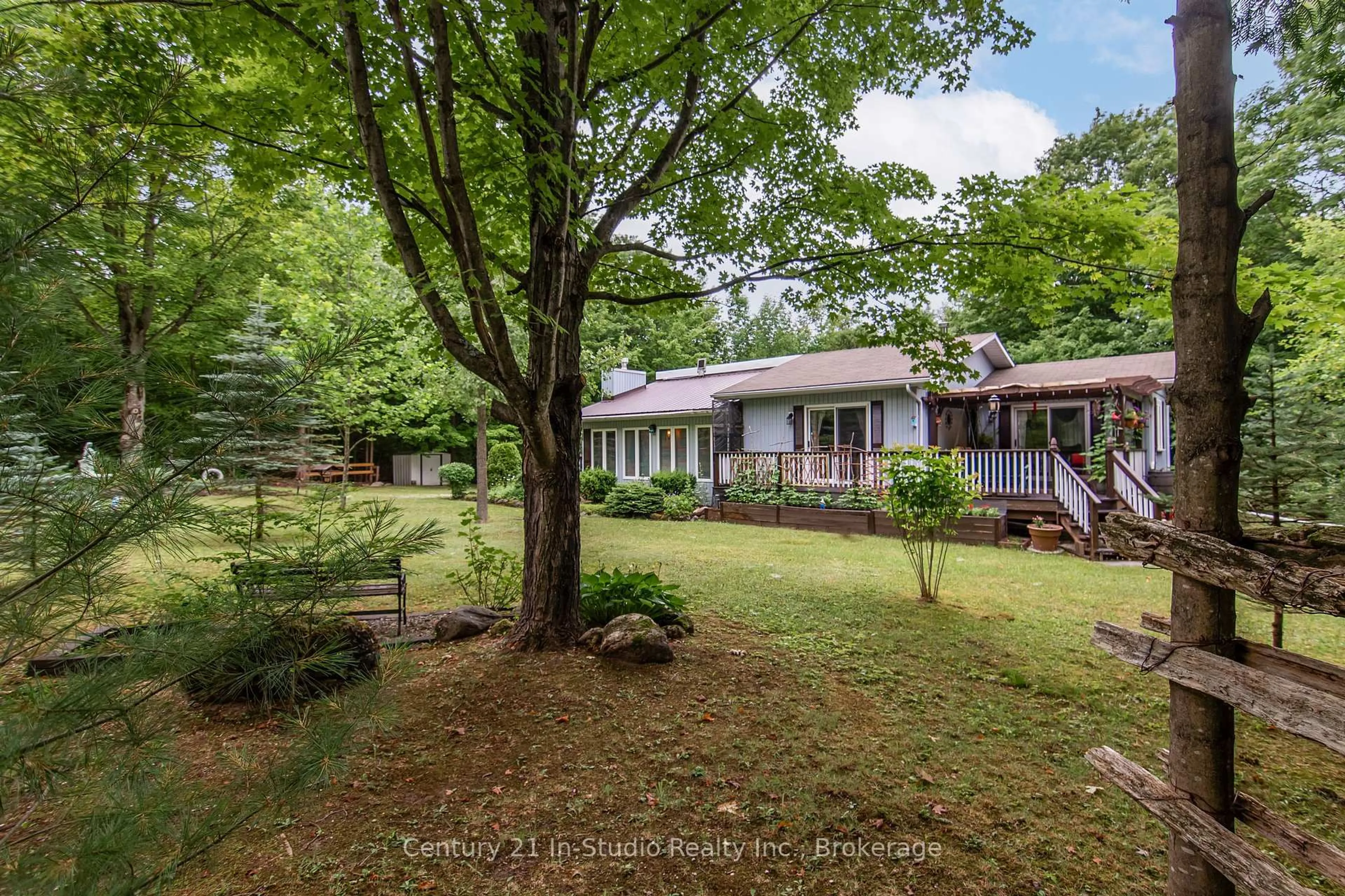 A pic from outside/outdoor area/front of a property/back of a property/a pic from drone, forest/trees view for 255263 1 Concession, Chatsworth Ontario N0H 2V0