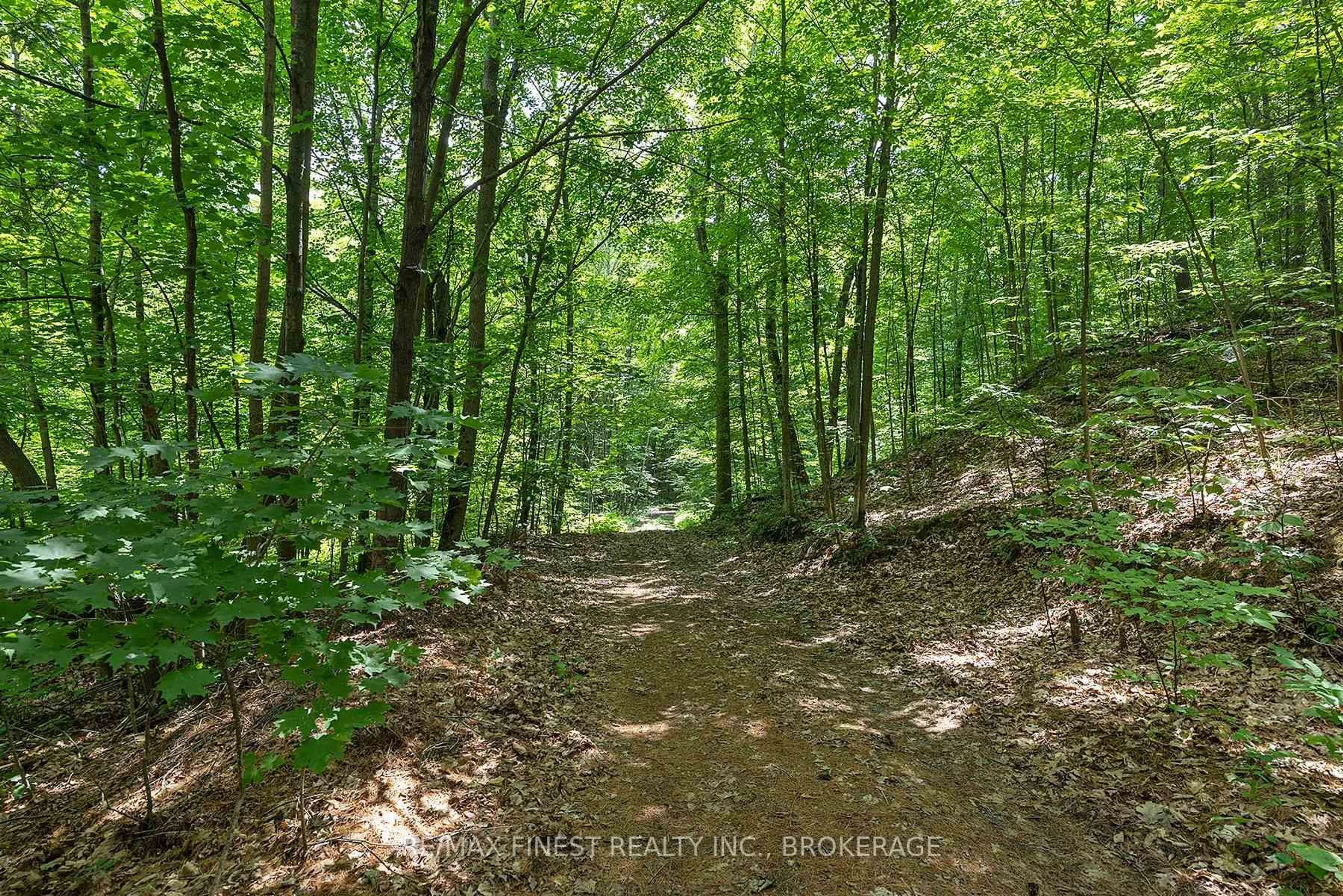 Blurry image for 370A Steve Babcock Lane, Hartington Ontario K0H 1W0