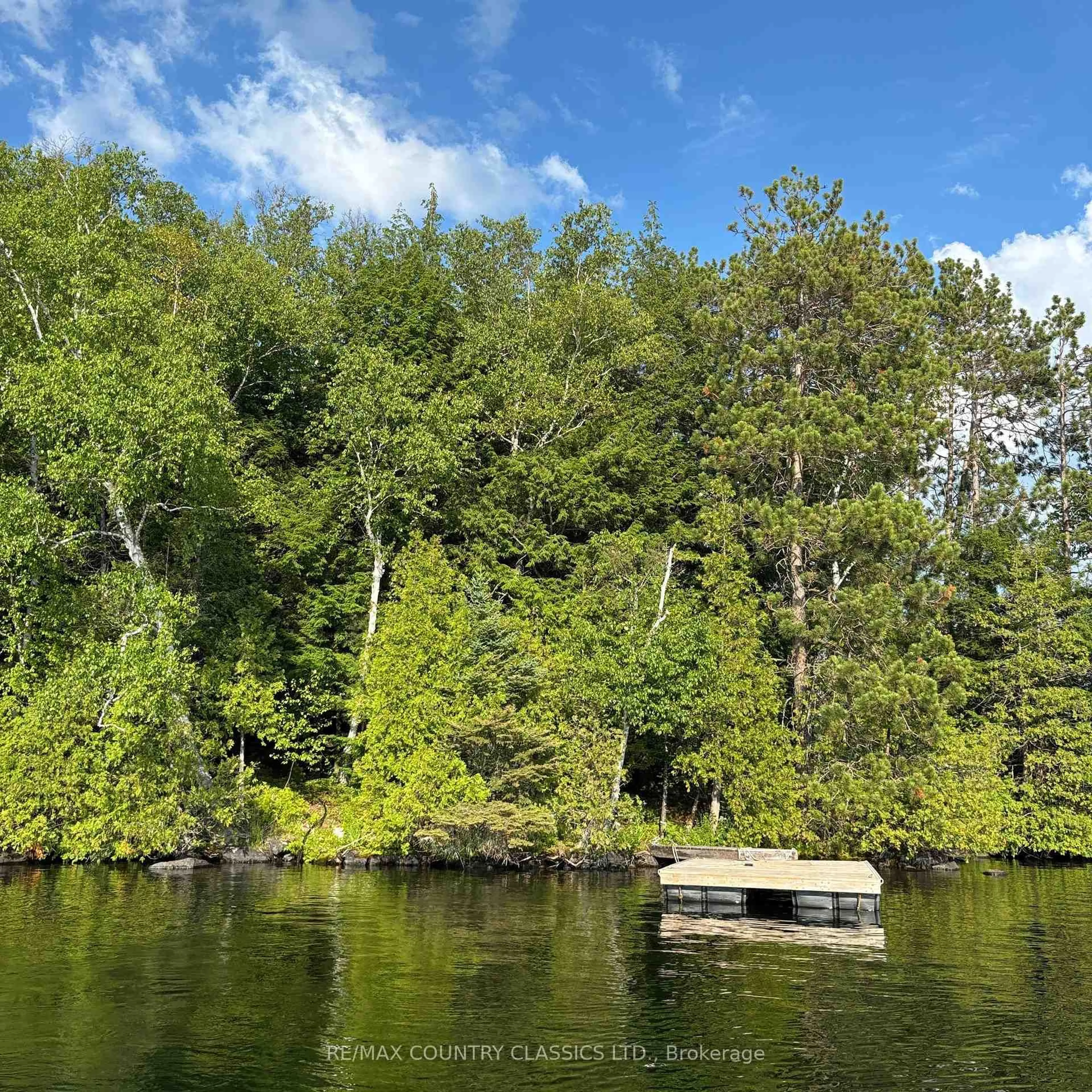 A pic from outside/outdoor area/front of a property/back of a property/a pic from drone, water/lake/river/ocean view for 15500 Moulds Island, Highlands East Ontario K0L 1C0