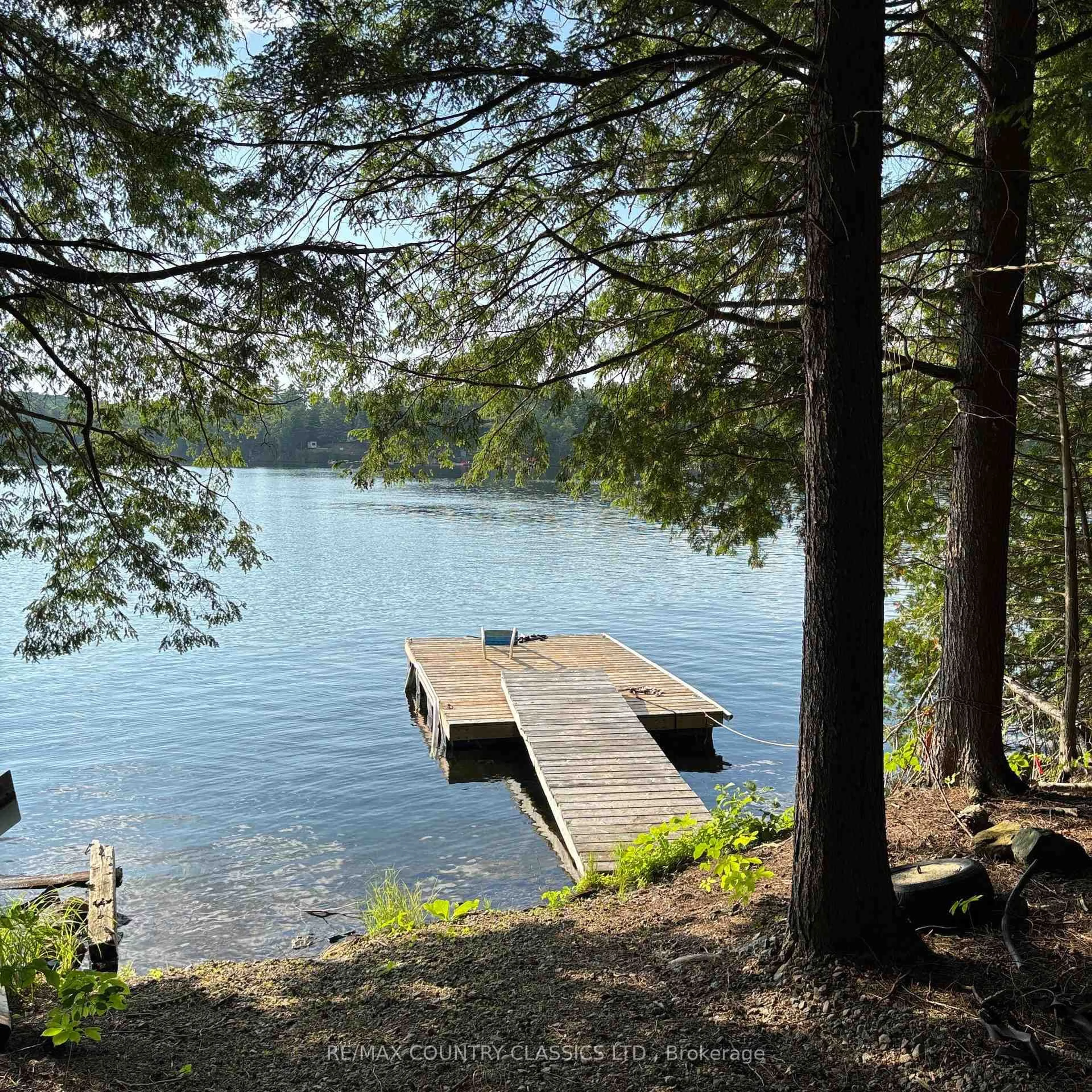 A pic from outside/outdoor area/front of a property/back of a property/a pic from drone, water/lake/river/ocean view for 15500 Moulds Island, Highlands East Ontario K0L 1C0