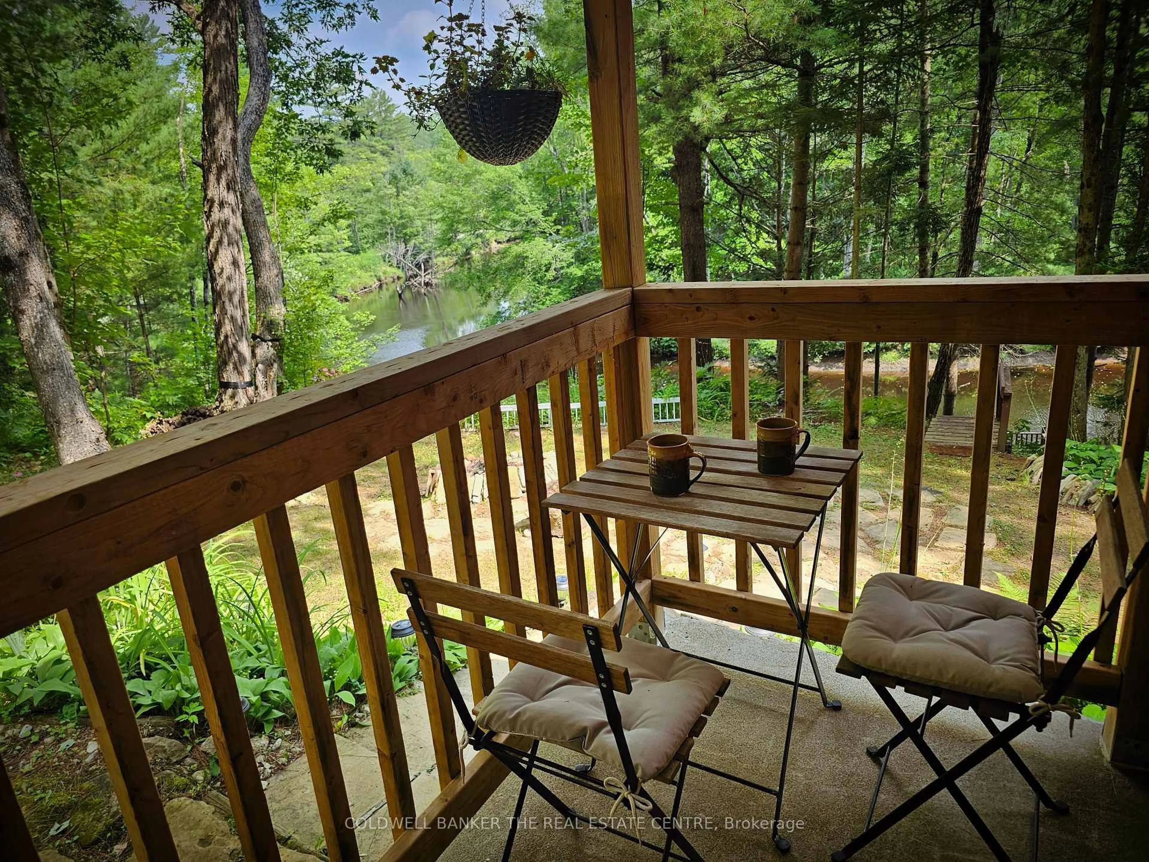 Patio, forest/trees view for 54 Black River Rd, Kawartha Lakes Ontario L0K 2B0