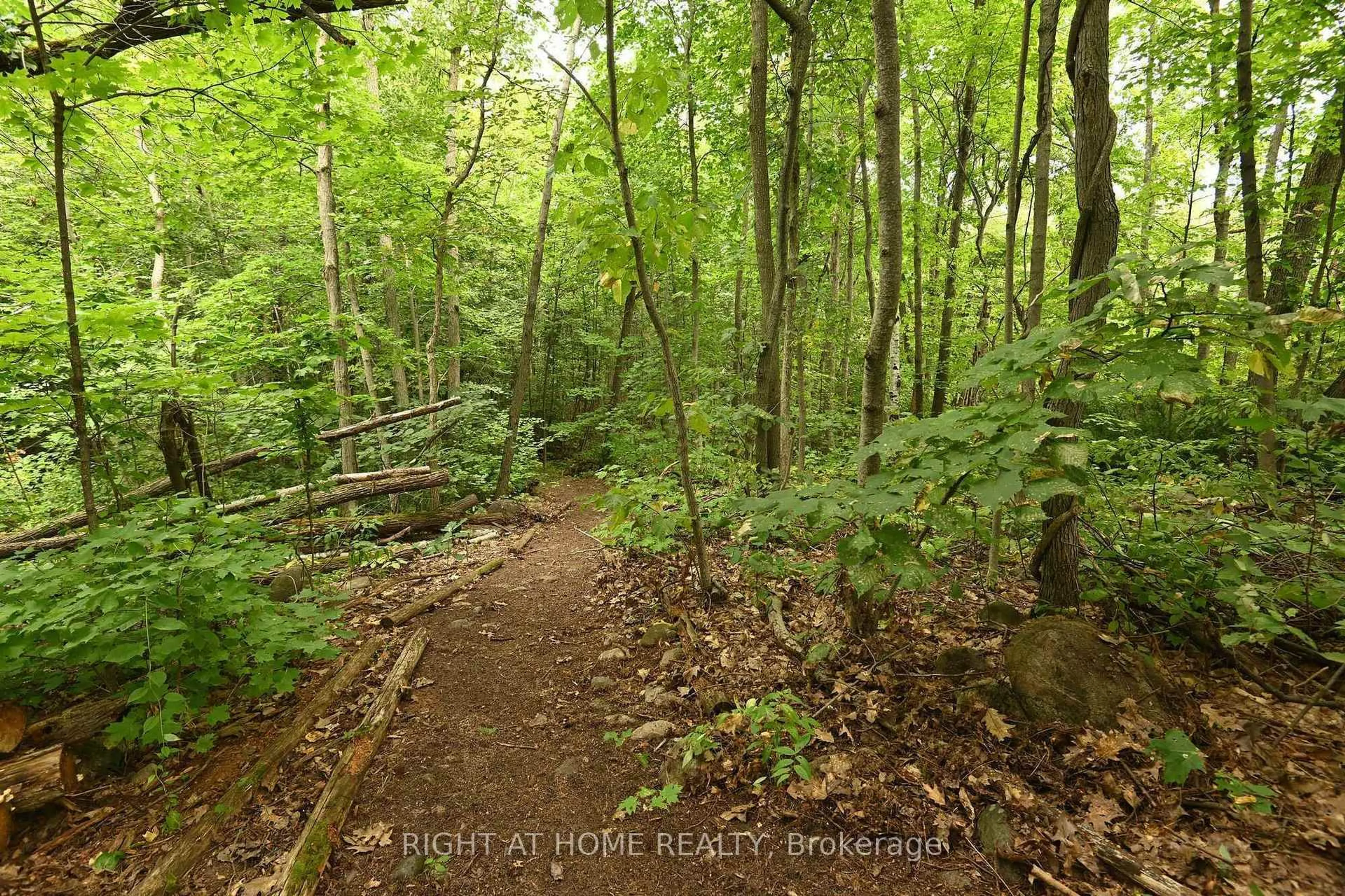 Blurry image for WC21 Hardwood Island East, West Nipissing Ontario P2B 2M9
