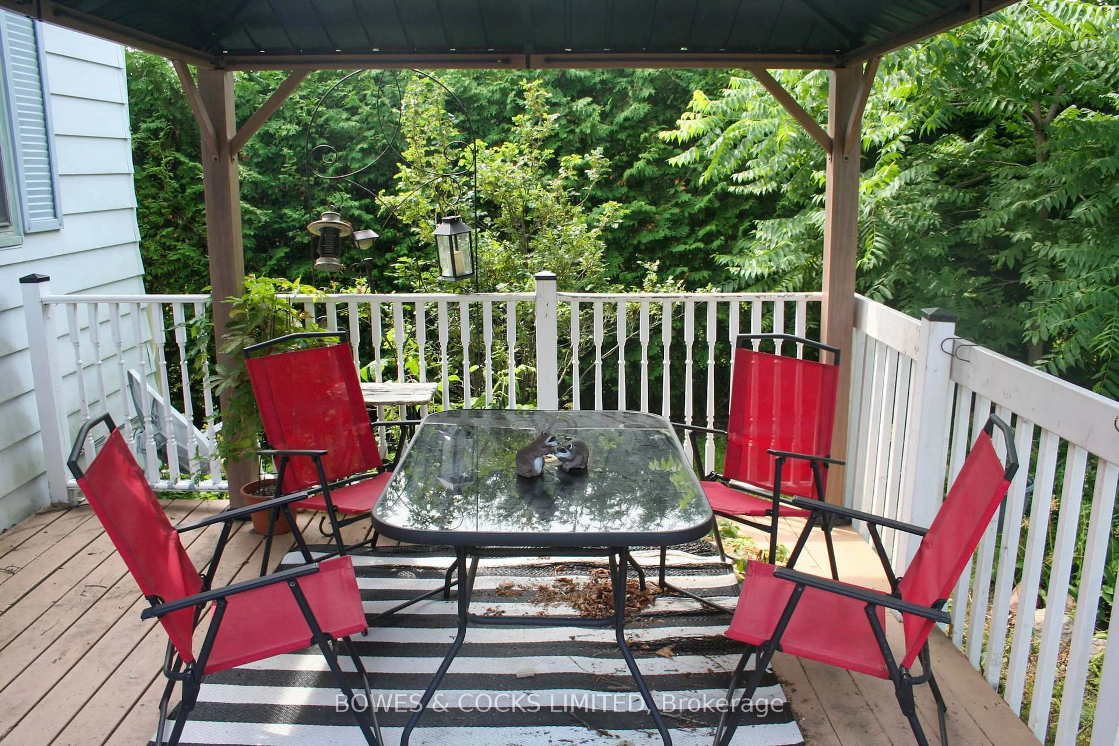 Patio, unknown for 10 Huston St, Cavan Monaghan Ontario L0A 1G0
