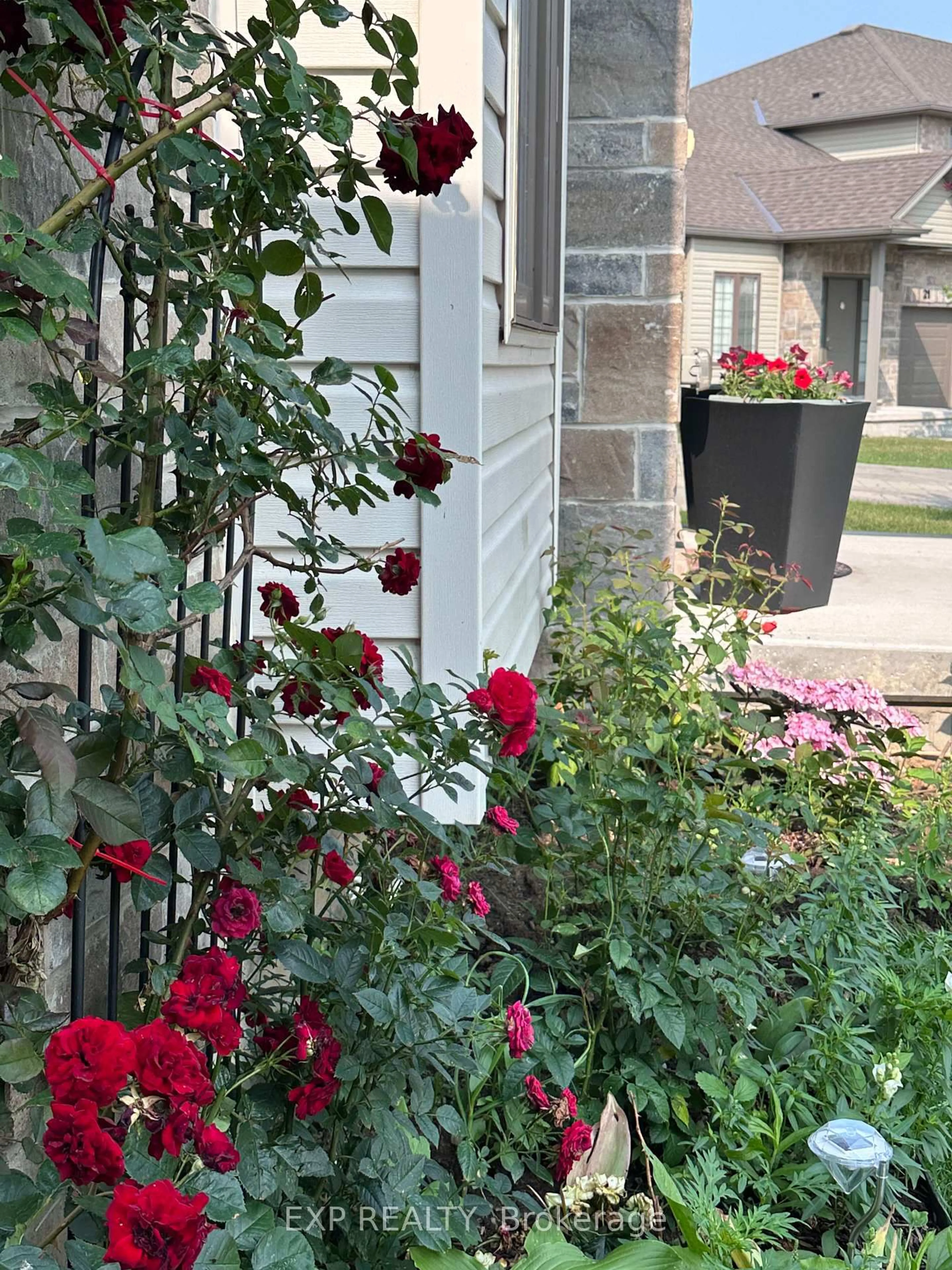 Patio, street for 2910 TOKALA Tr #15, London North Ontario N6G 5B4