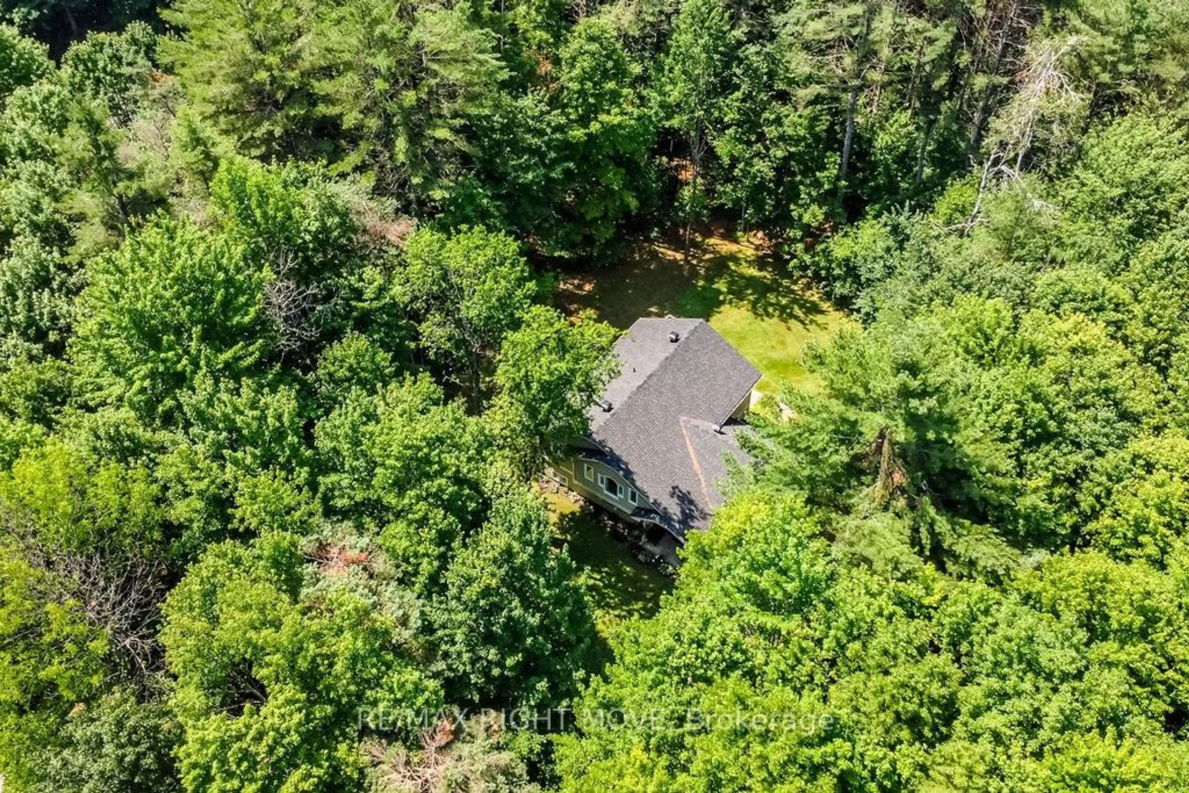 A pic from outside/outdoor area/front of a property/back of a property/a pic from drone, forest/trees view for 1011 Talbot Tr, Gravenhurst Ontario P0E 1N0