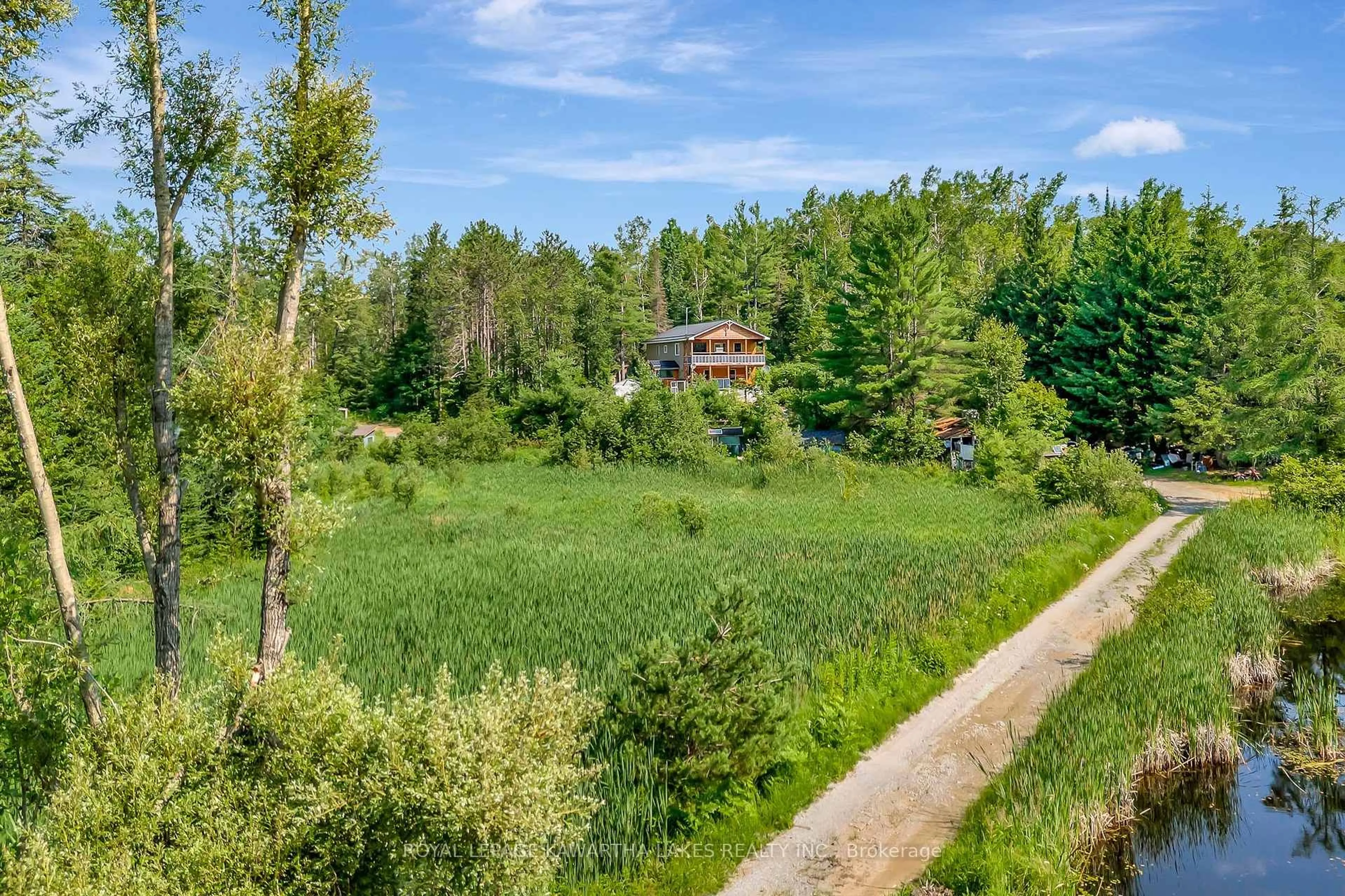 A pic from outside/outdoor area/front of a property/back of a property/a pic from drone, forest/trees view for 707 Galway Rd, Trent Lakes Ontario K0M 2A0