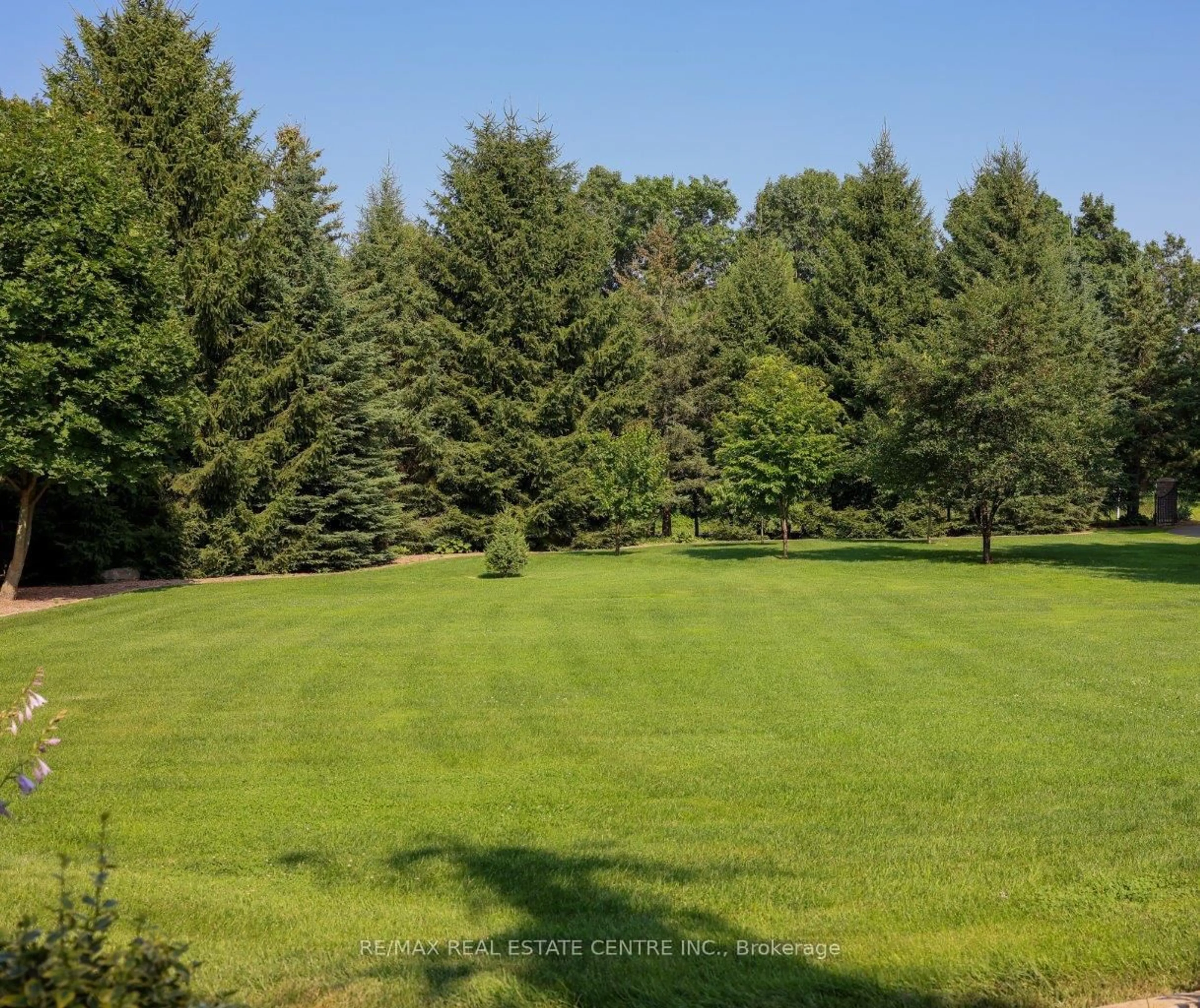 A pic from outside/outdoor area/front of a property/back of a property/a pic from drone, forest/trees view for 203 East River Rd, Brant Ontario N0E 1N0