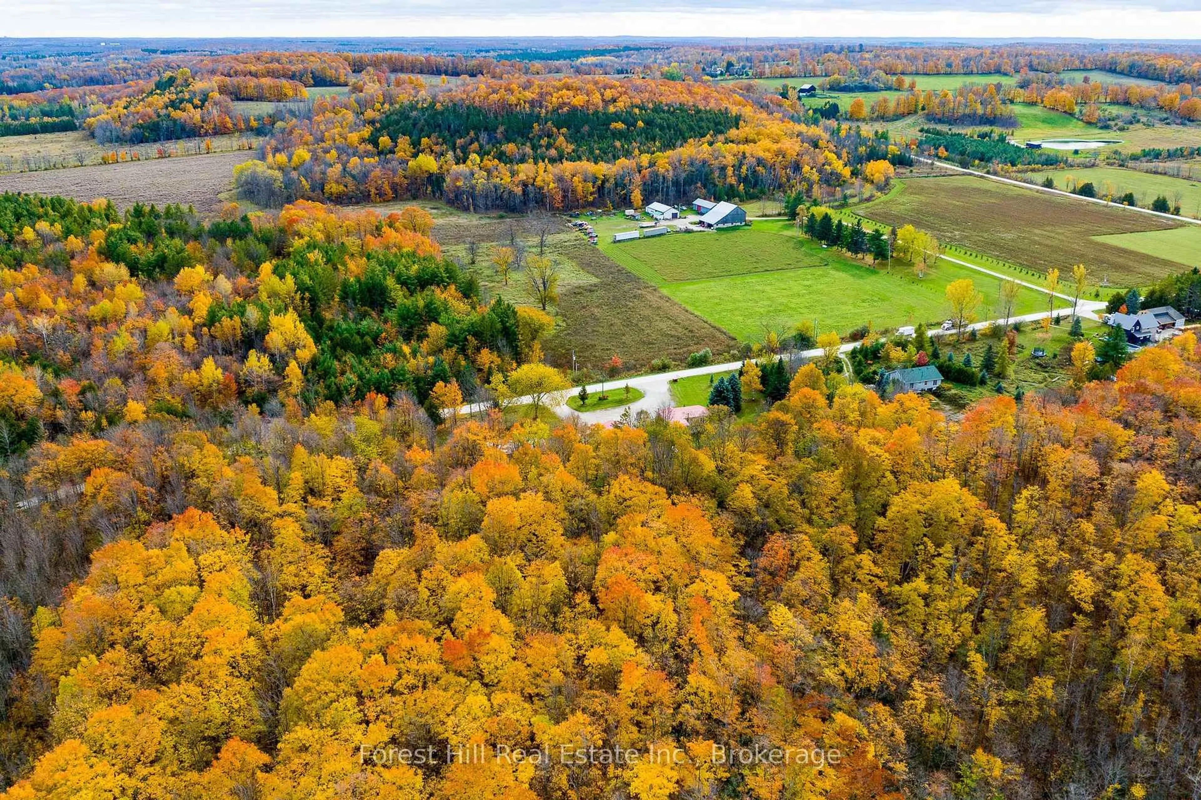 A pic from outside/outdoor area/front of a property/back of a property/a pic from drone, forest/trees view for 587317 9th Sdrd, Blue Mountains Ontario N0H 1J0