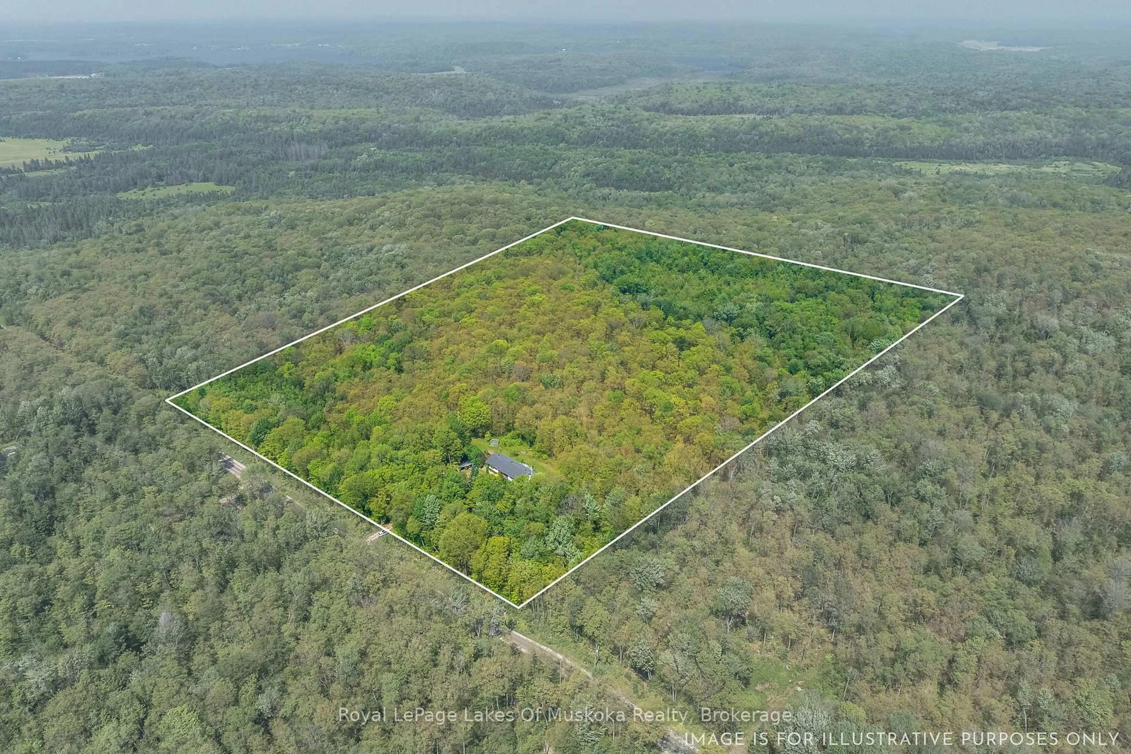 A pic from outside/outdoor area/front of a property/back of a property/a pic from drone, forest/trees view for 1101 Starratt Rd, Ryerson Ontario P0A 1C0