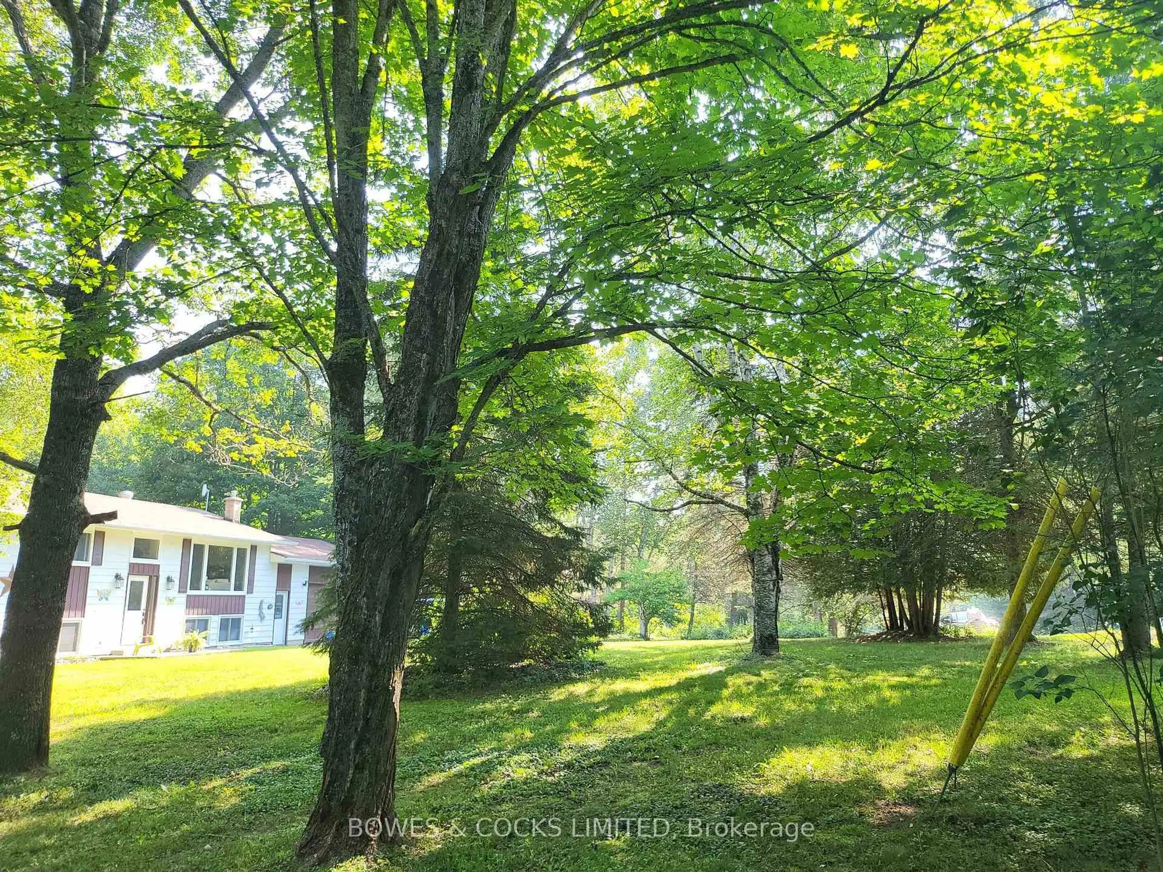A pic from outside/outdoor area/front of a property/back of a property/a pic from drone, forest/trees view for 109 QUARRY Rd, Bancroft Ontario K0L 1C0