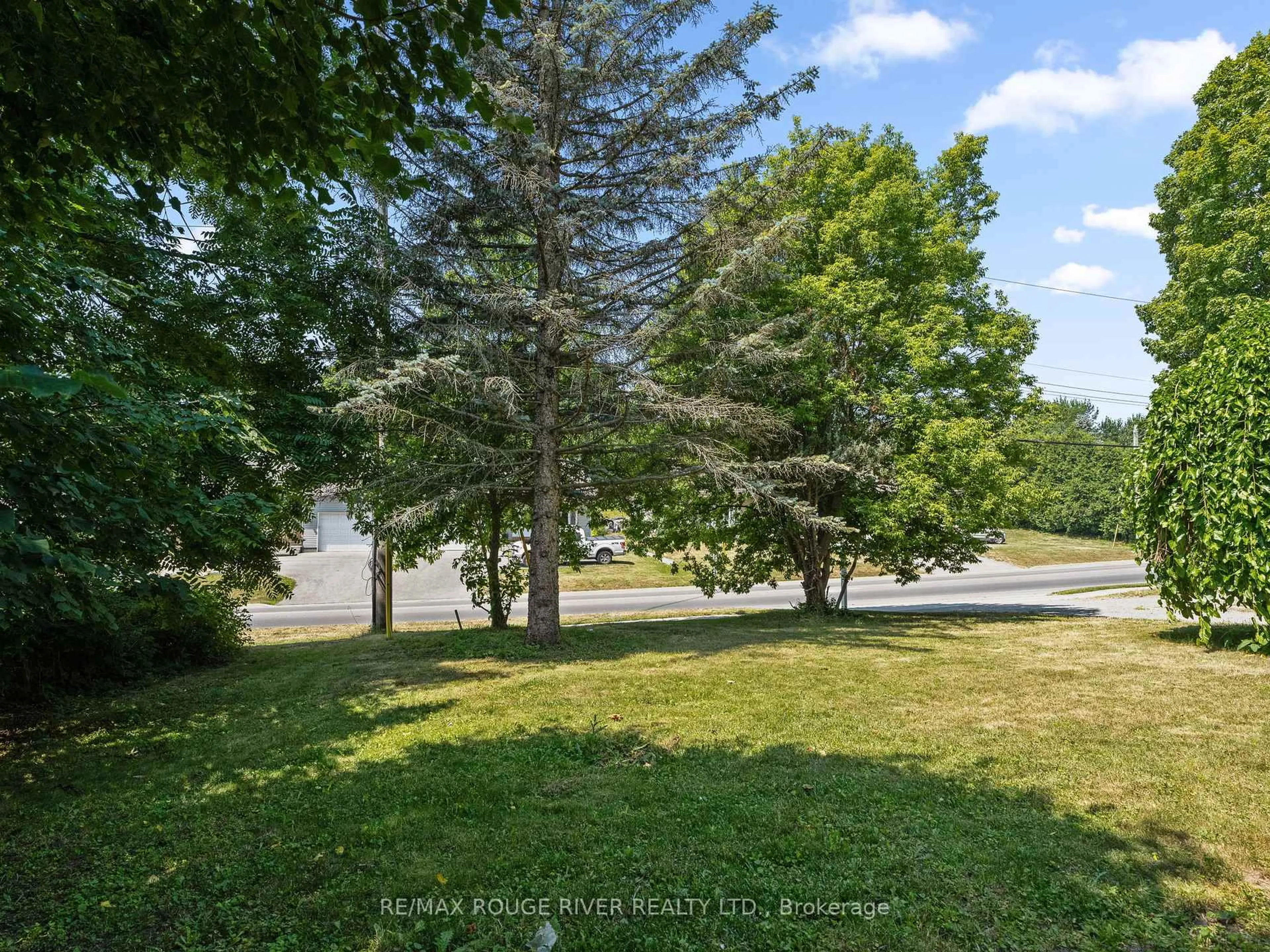 A pic from outside/outdoor area/front of a property/back of a property/a pic from drone, forest/trees view for 17 George St, Brighton Ontario K0K 1H0