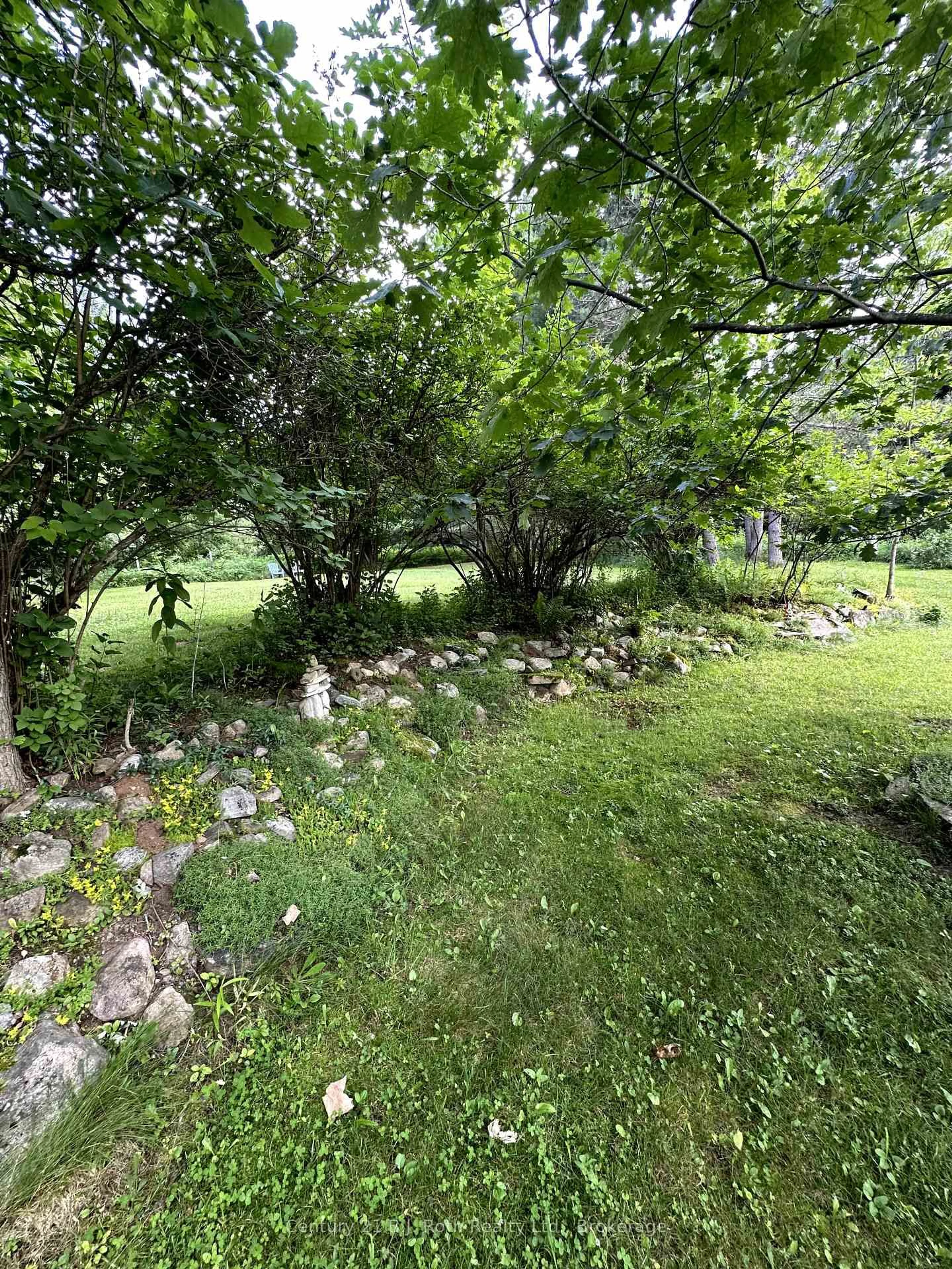 A pic from outside/outdoor area/front of a property/back of a property/a pic from drone, forest/trees view for 4 STOCKING Lane, Huntsville Ontario P1H 1V4